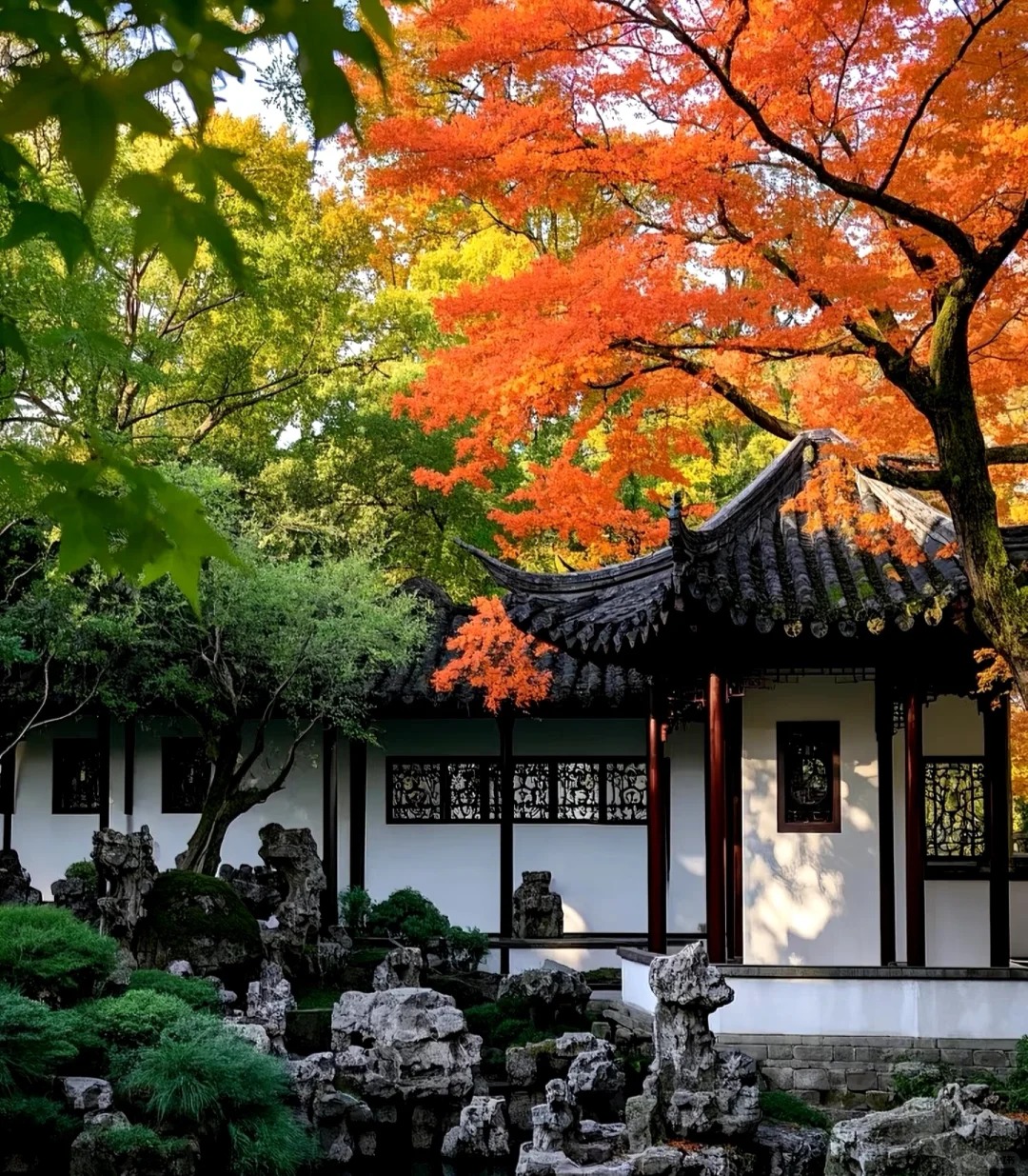 One-day tour from Suzhou/Shanghai to Humble Administrator's Garden, Tiger Hill and Lion Grove (check in at the famous Hanshan Temple)