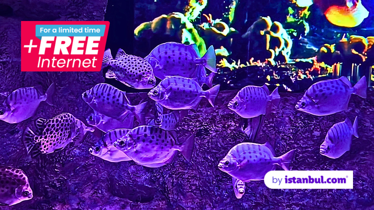 ViaSea水族館門票