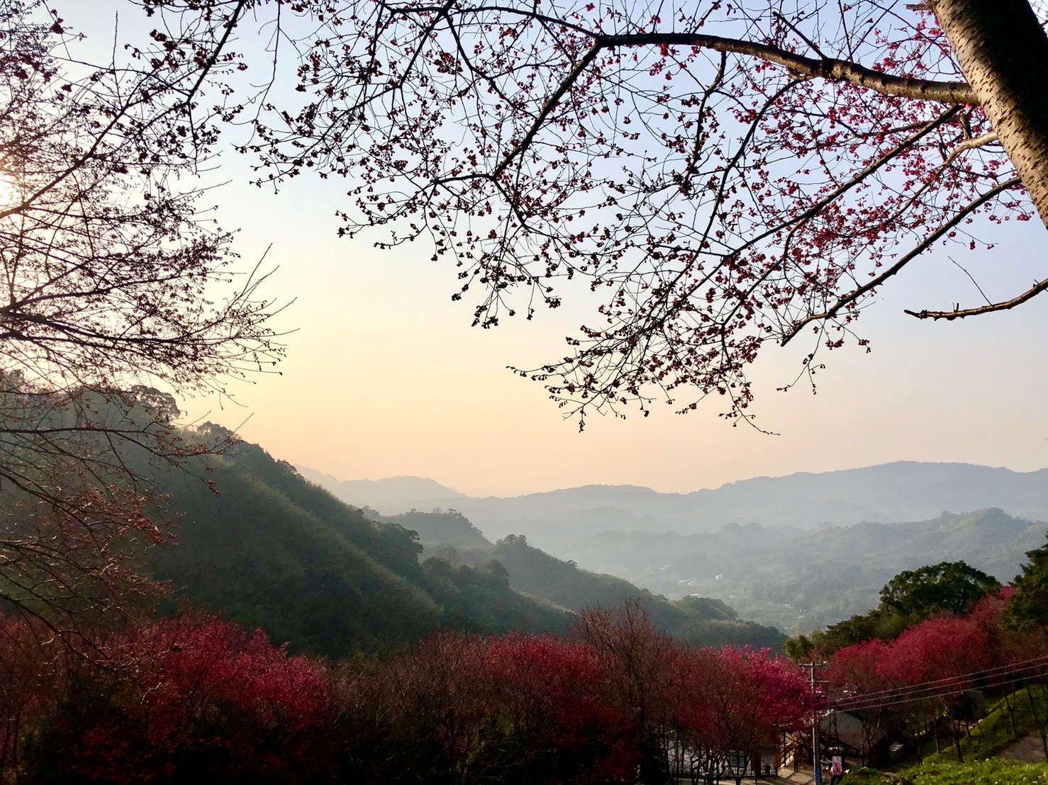 翠墨莊園門票