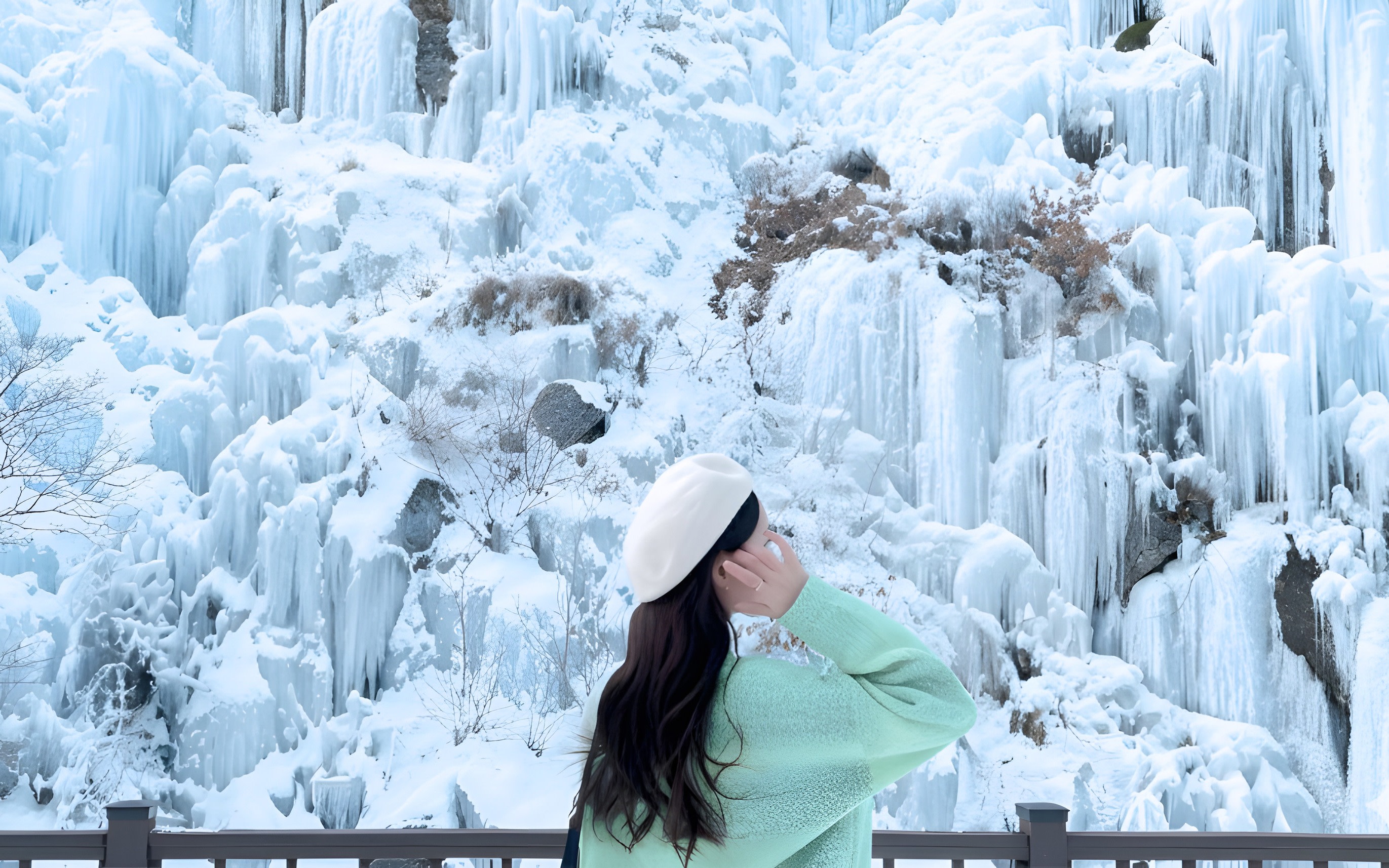 Eobi/ Alpaca/ Nami/ Railbike/ Starlight Festival Day Tour from Seoul