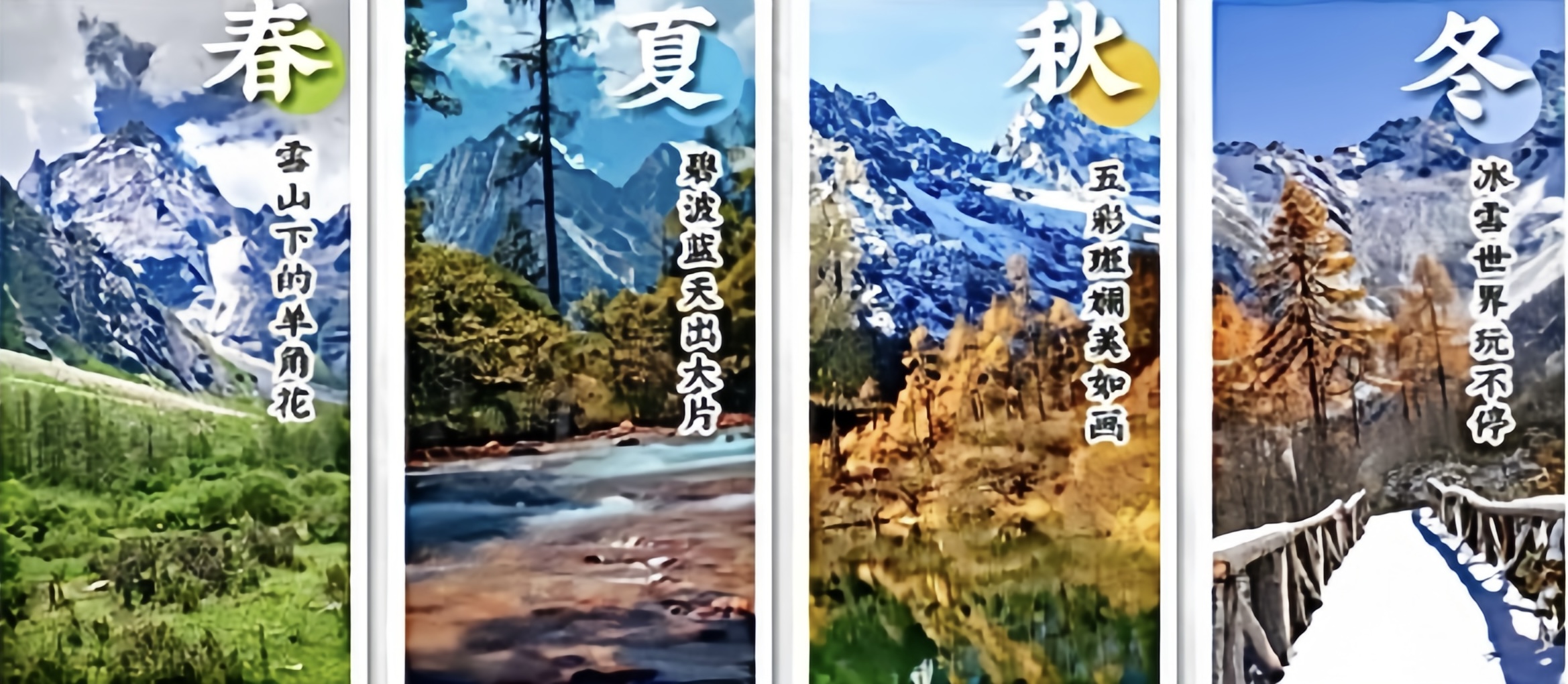【櫻花季促銷】四川畢棚溝雪山童話世界1日遊 中英雙語團（高原花海+原始森林+高原雪山+成都往返）