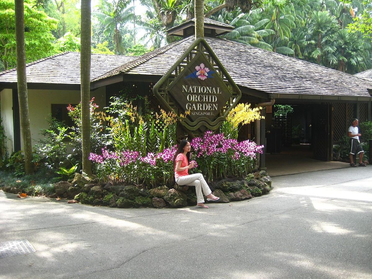 新加坡國家蘭花園 (National Orchid Garden Singapore)
