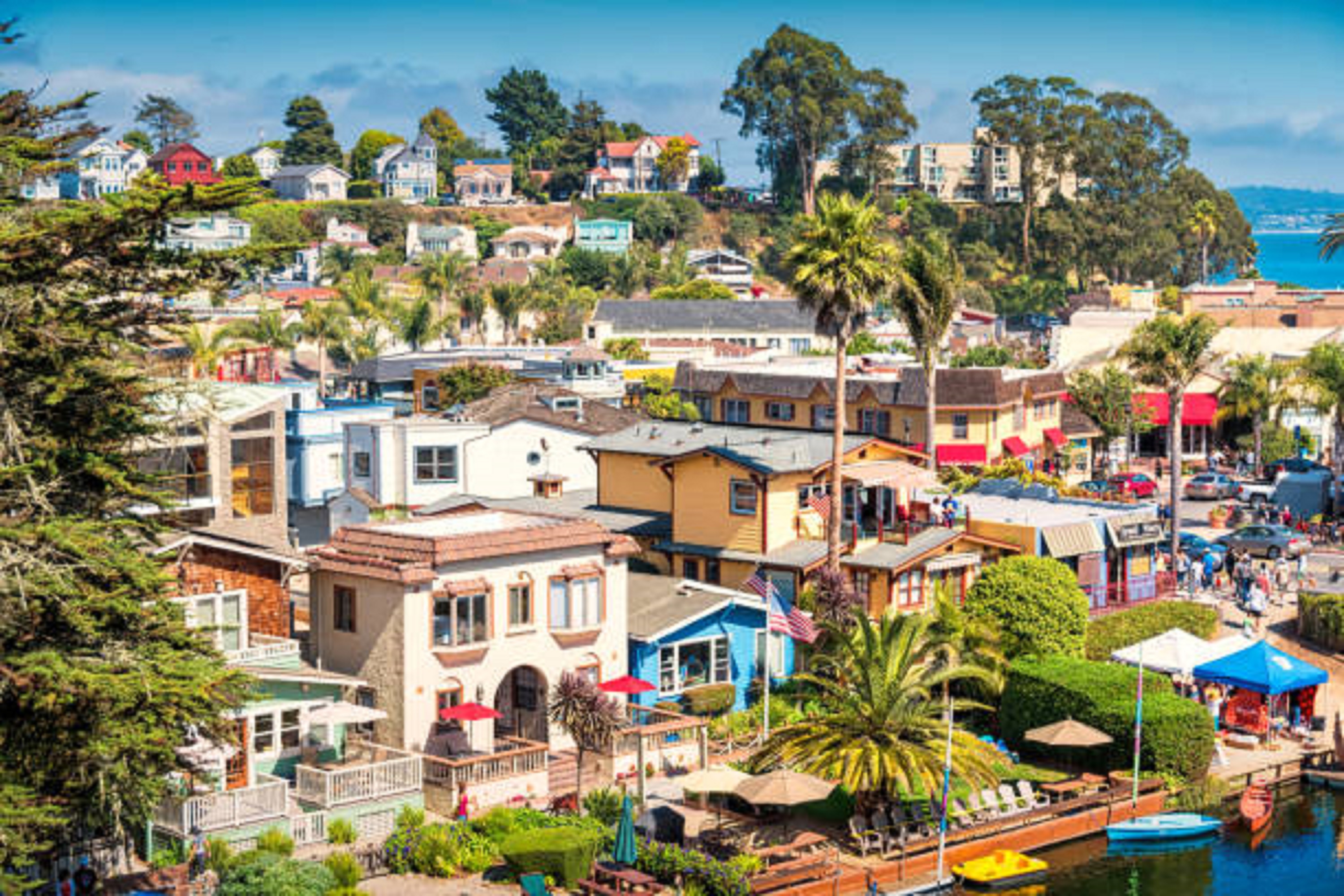Redwood Forest Steam Train and Santa Cruz Harbor Day Tour