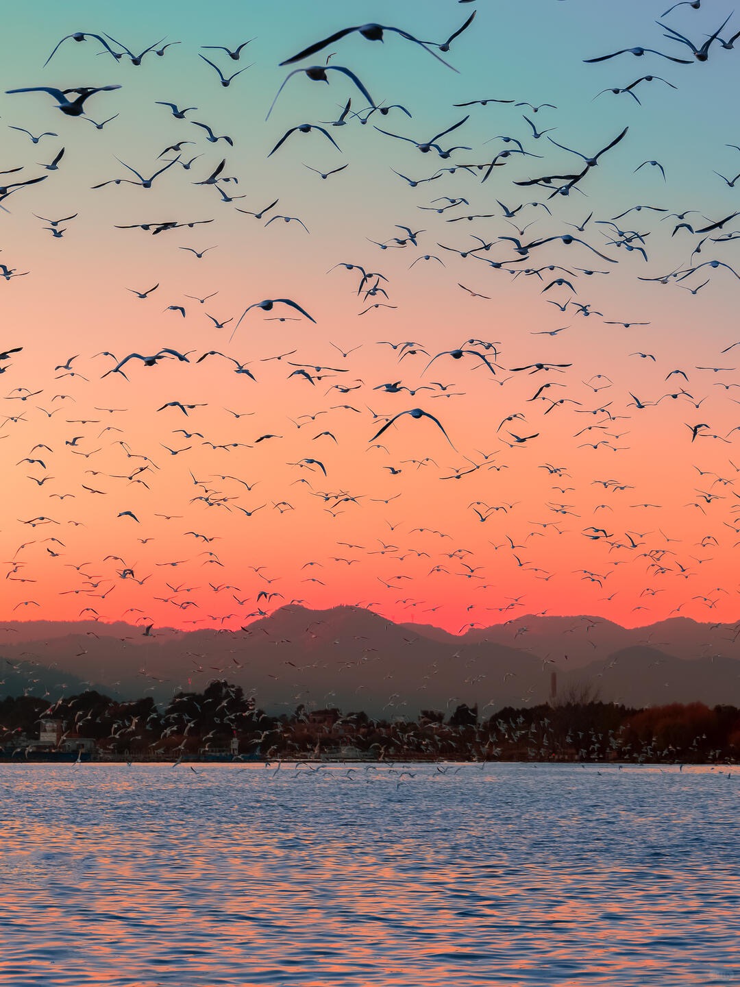 橘色落日漫染天際,海鷗銜著晚風,把溫柔送向山海。 橘色落日漫染天際,海鷗銜著晚風,把溫柔送向山海。