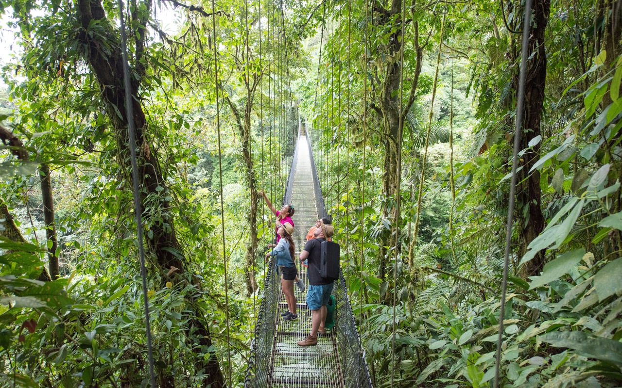 Mistico Arenal Hanging Bridges Park Ticket in La Fortuna