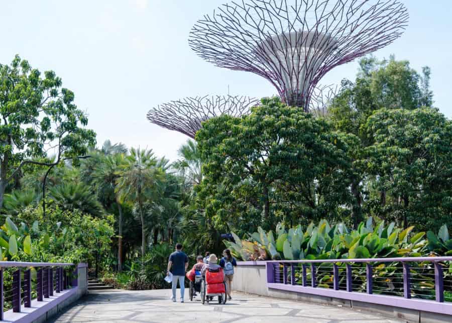無障礙濱海灣花園導覽遊：花穹和雲霧林