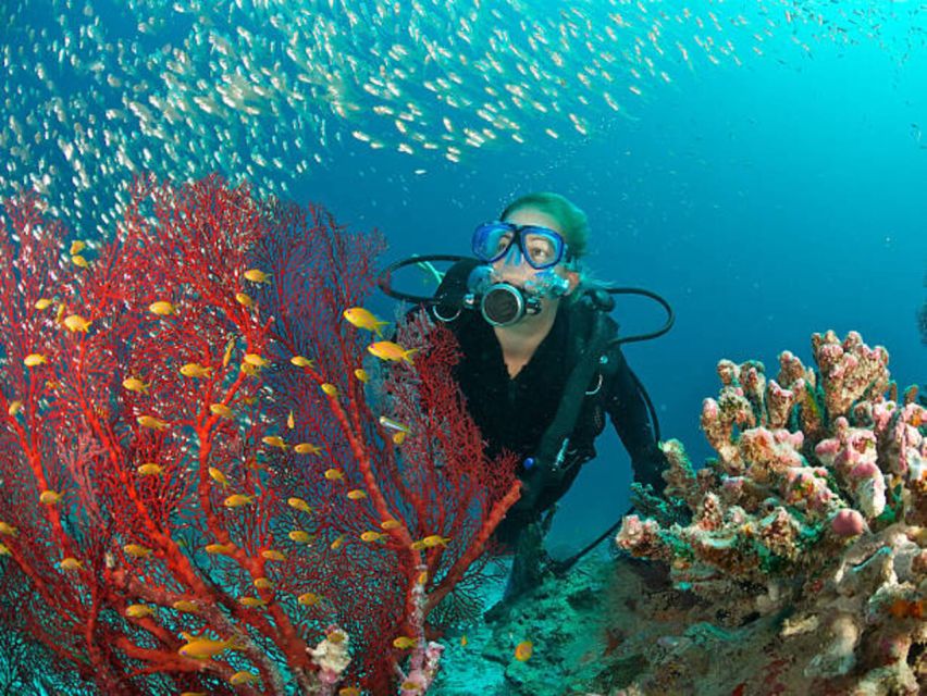 From Marsa Alam: Beginners Scuba Diving Day-Trip with Lunch