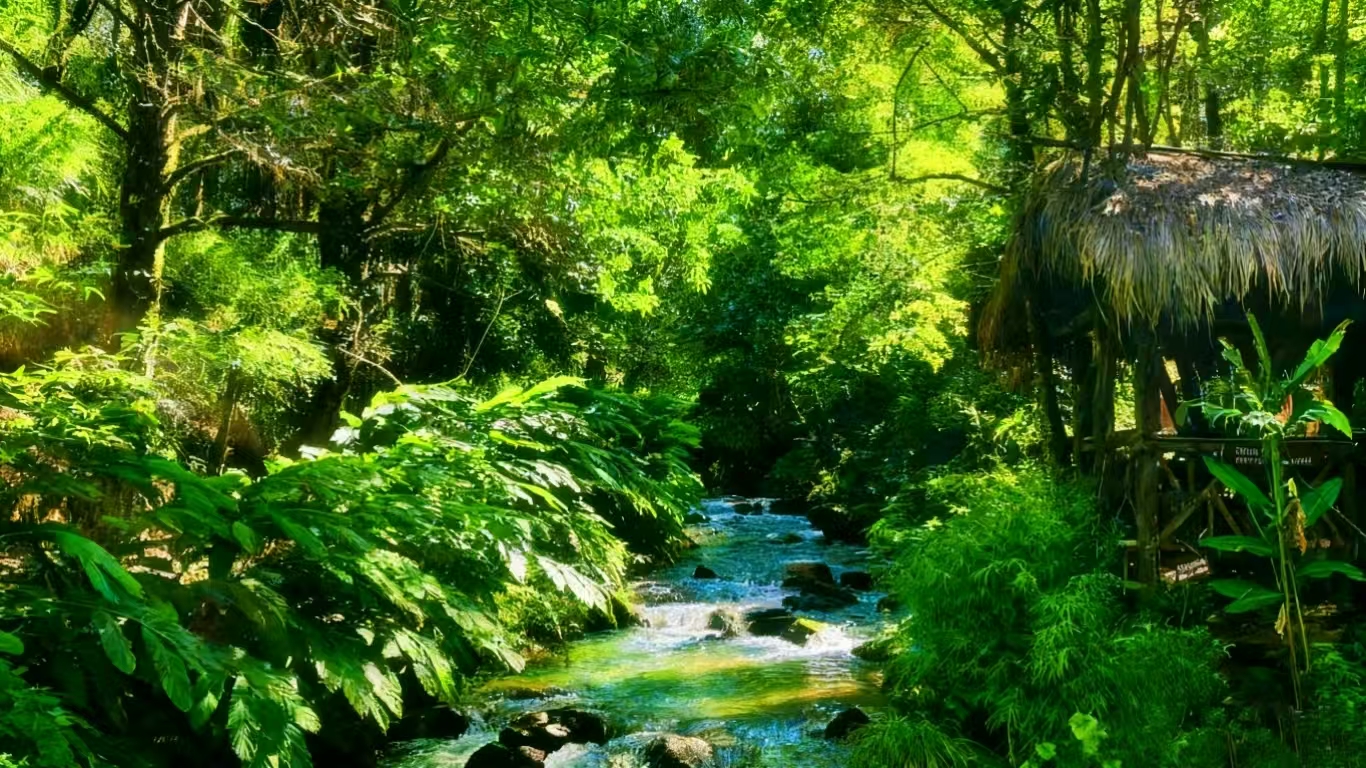 趄洛的輕徒步小徑旁,岸邊的草亭以茅草為頂,木柱為骨,靜靜依偎在溪流便能聽見溪水與草木的私語,讓旅途的疲憊在這片悠然中緩緩消散。 趄洛的輕徒步小徑旁,岸邊的草亭以茅草為頂,木柱為骨,靜靜依偎在溪流便能聽見溪水與草木的私語,讓旅途的疲憊在這片悠然中緩緩消散。