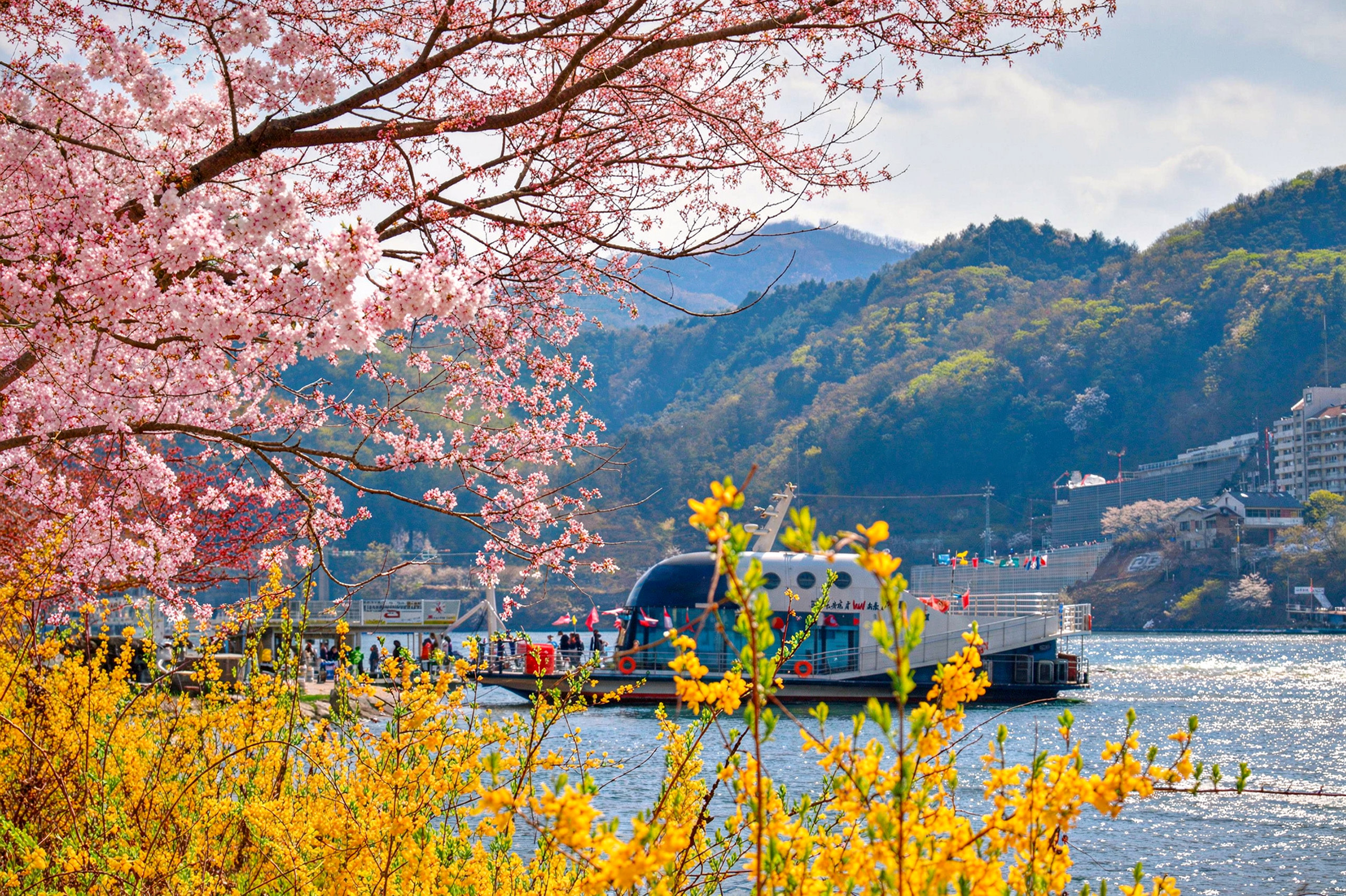 展開南怡島一日遊，走訪熱門人氣景點，盡覽美麗風光