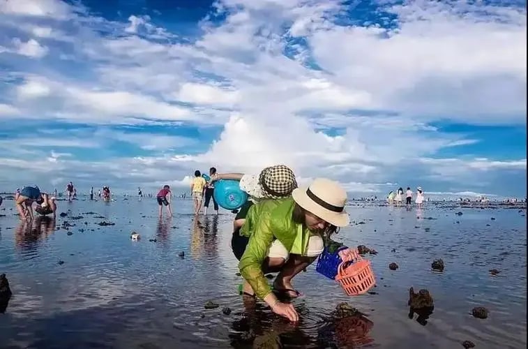 廈門小嶝島趕海 五緣灣帆船 私人導覽一日遊
