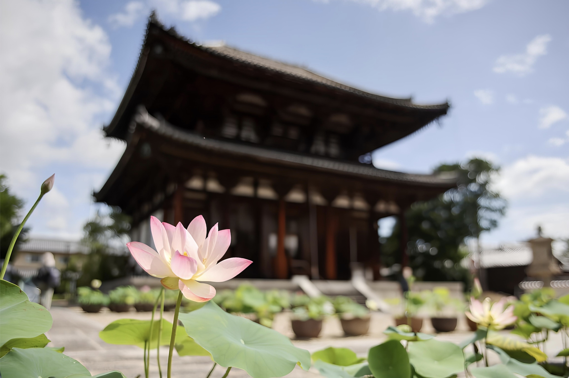 奈良: 西之京蓮花路四寺通票 (西大寺 & 喜光寺 & 唐招提寺 & 藥師寺)