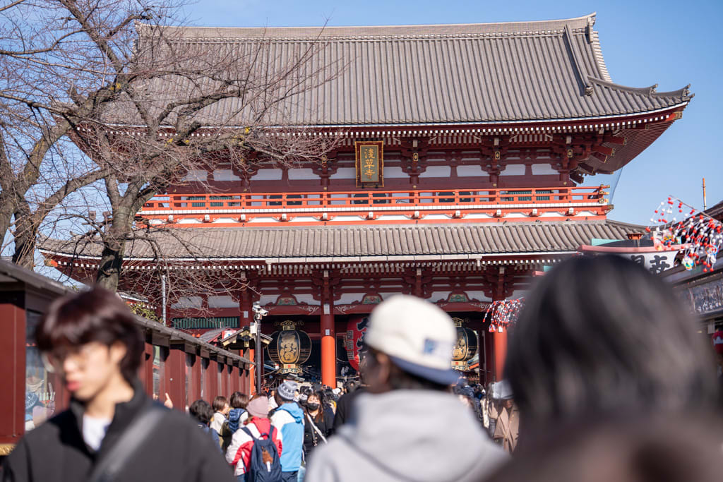 1-Day Tokyo Highlights Tour with a Private Car and Guide