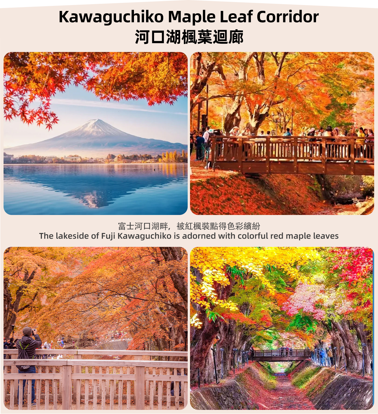 [One-day tour of Mount Fuji Internet celebrity & classic check-in] Mount Fuji Internet celebrity park & Tianti Town & Oshino Hakkai & Lawson convenience store & Kawaguchiko seasonal itinerary one-day tour