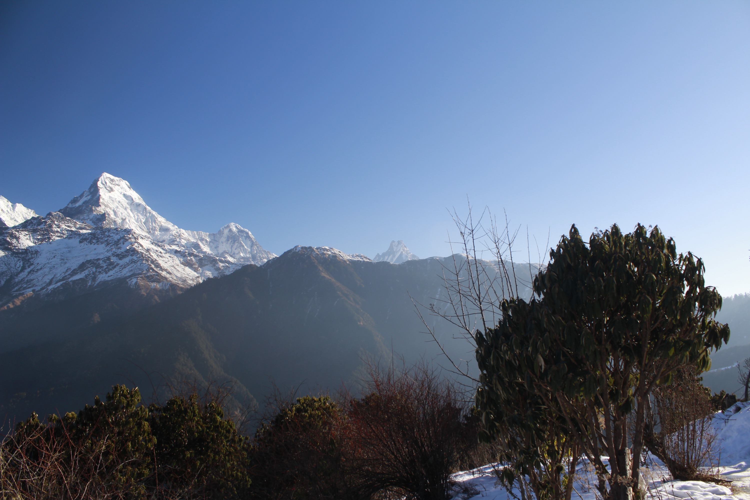 From Pokhara: 4 Days Poon Hill Trek