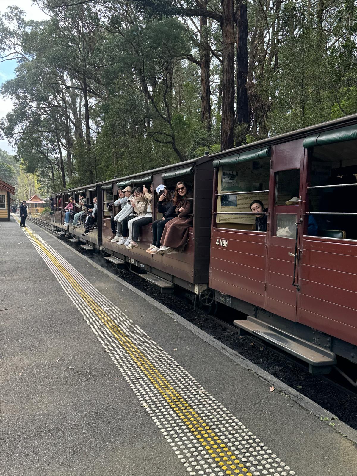 從墨爾本出發的普芬比利蒸汽火車 (Puffing Billy Steam Train) 之旅