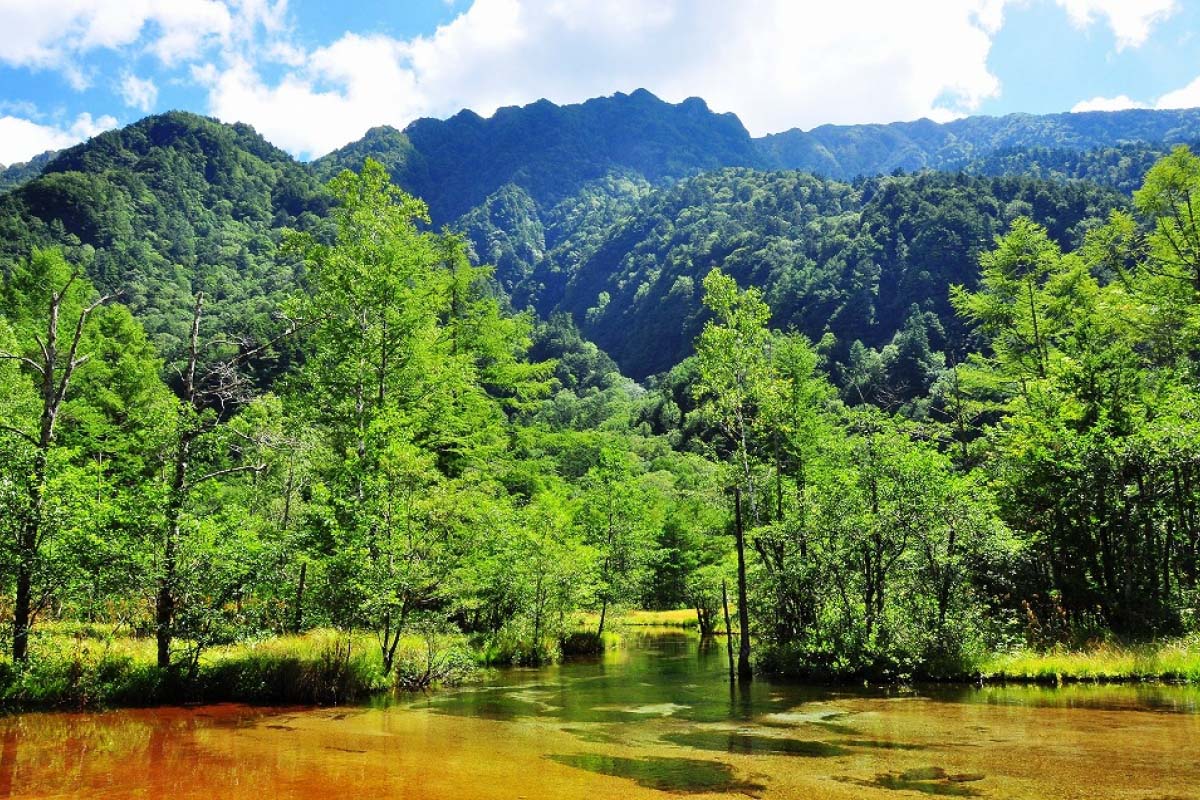 世界遺產白川鄉＆上高地or富山河口湖秘境2日遊（東京出發）