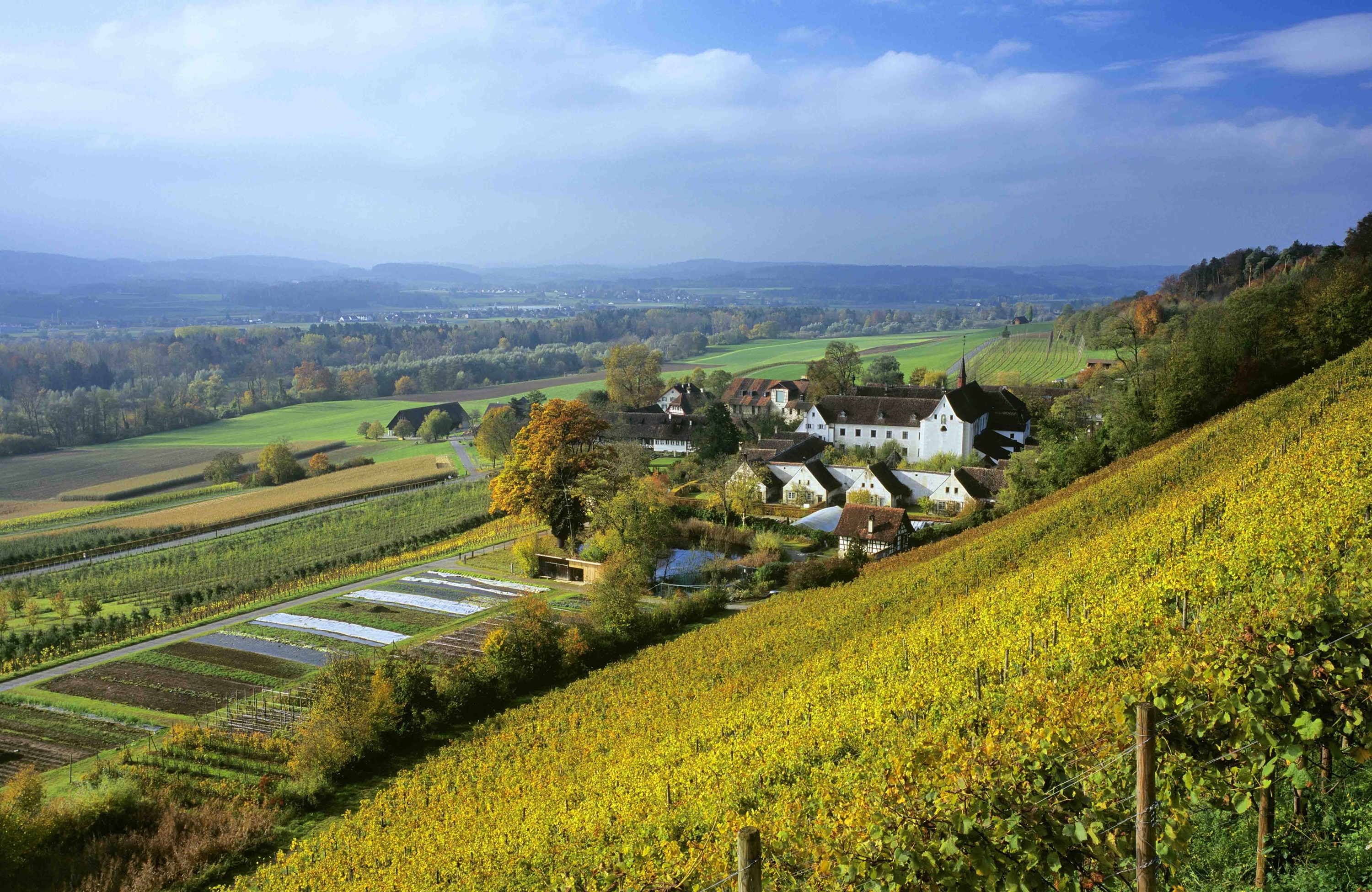 Local Wine & Cheese Tasting at Kartause Ittingen Monastery