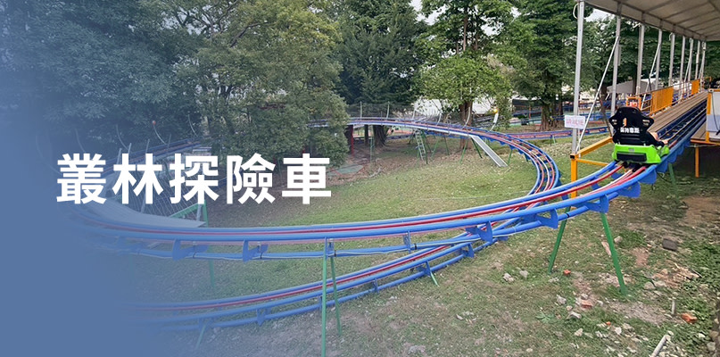登上叢林探險車,深入恐龍出沒的原始秘境