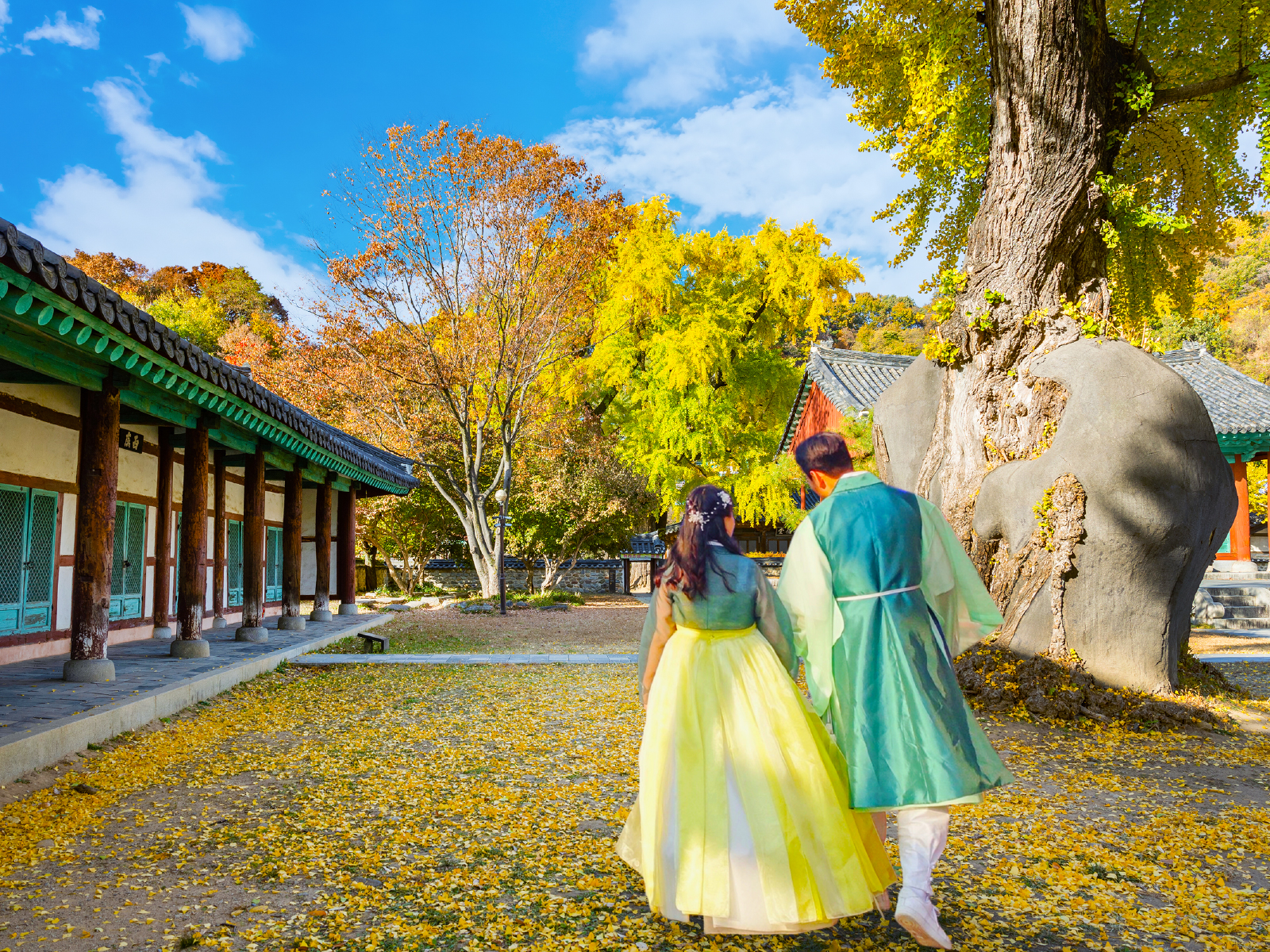 感受全州的文化氣息、享受一天浪漫的文化體驗。