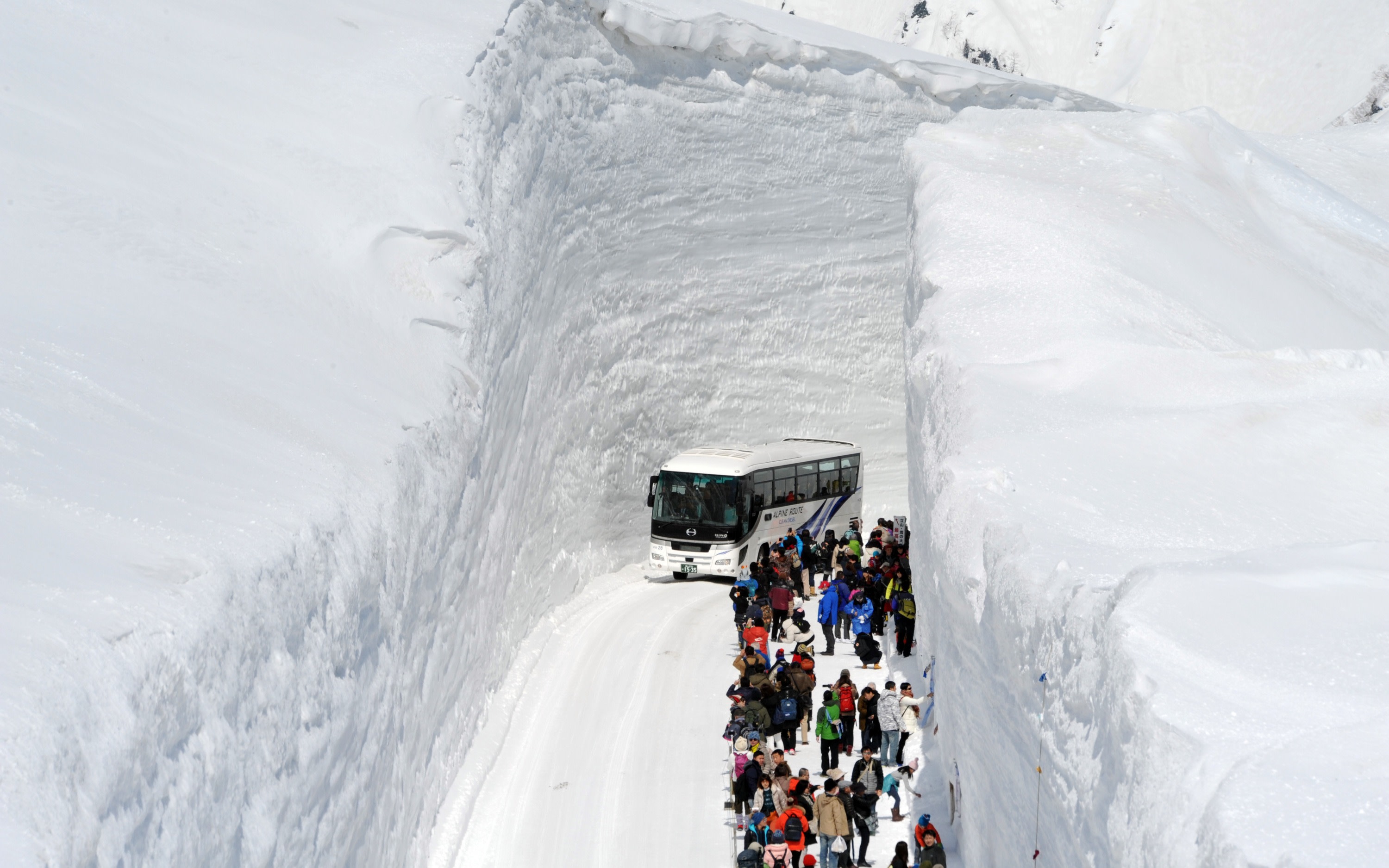 Snow wall / Tateyama Kurobe Alpine Route Bus Tour