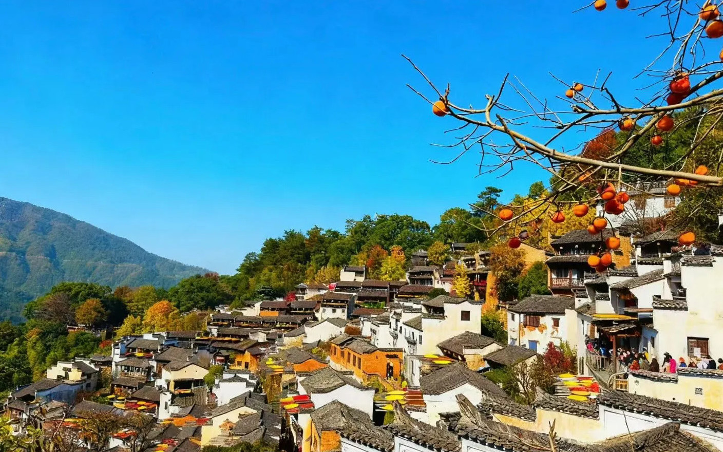 One-day tour of Huangling in Wuyuan, Jiangxi + Wangxian Valley in Shangrao