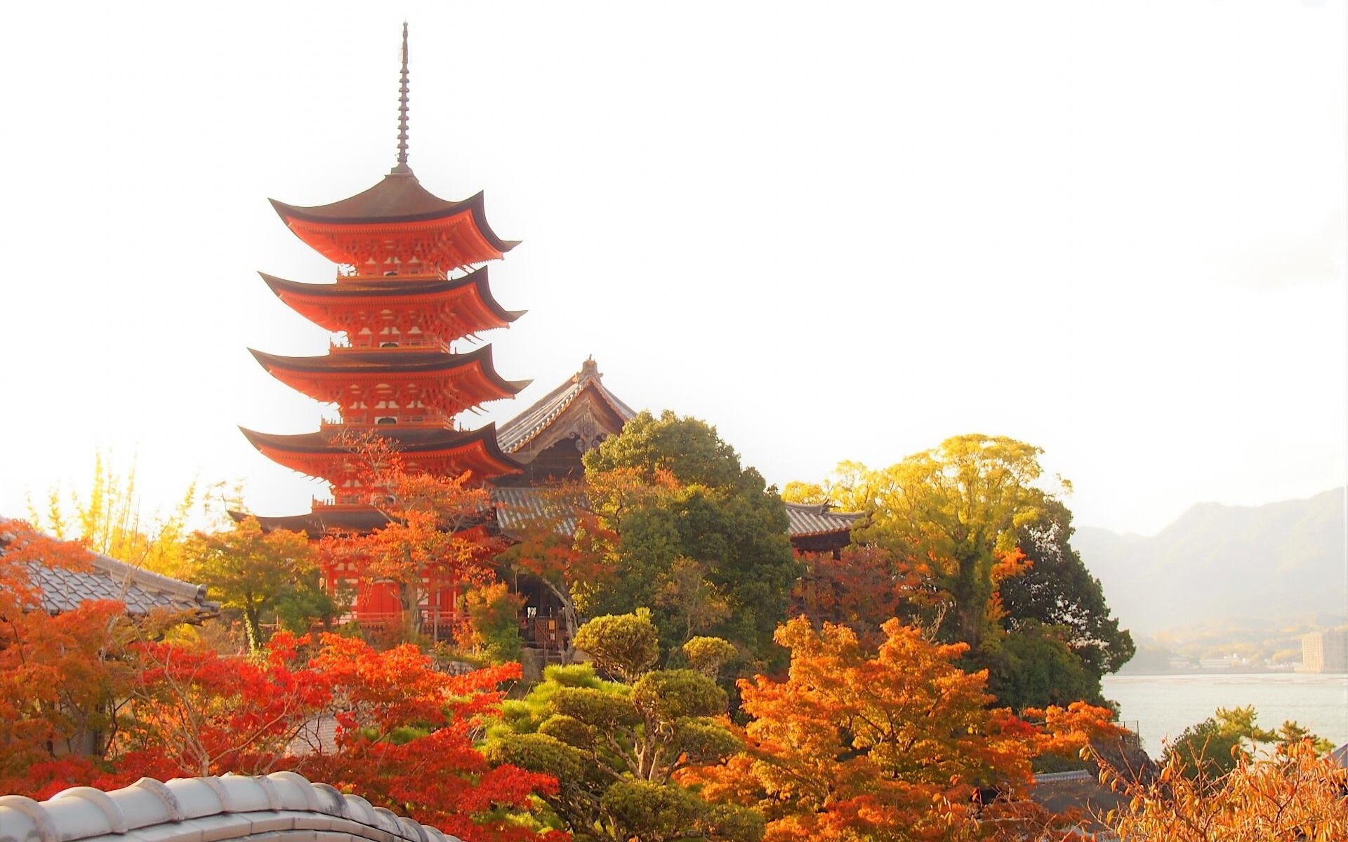 Hiroshima & Miyajima Highlights Private Day Tour