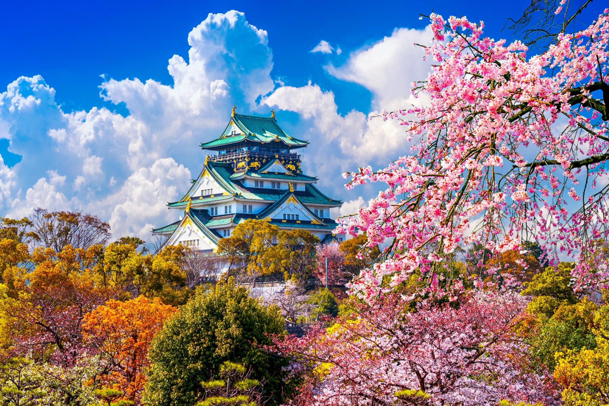 Osaka: Customizable English Trip with Hotel Pickup