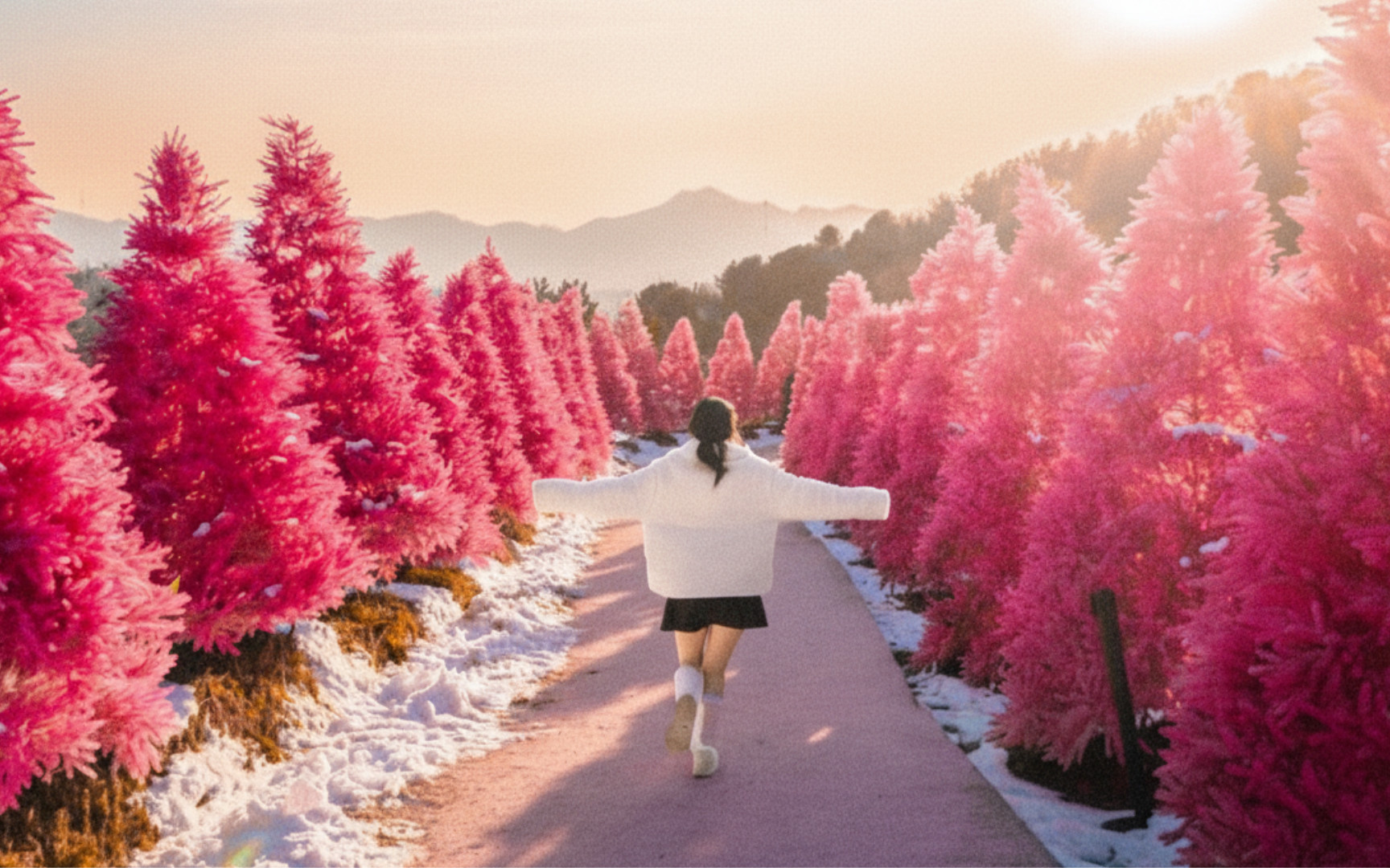 Samaksan Cable Car/Nami/Strawberry Picking/Snow Sledding/Herb Island