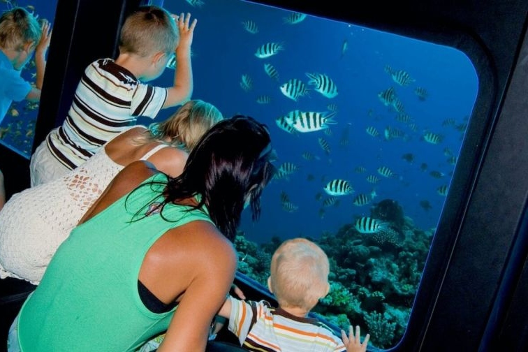 Panoramic Glass Bottom Boat Experience in Sharm El Sheikh 