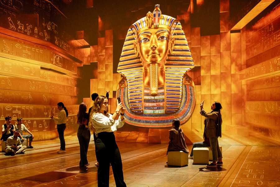 private half-day tour to the Grand Egyptian Museum (GEM) 