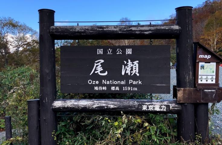 【夜發日歸・新宿出發】 鳩待峠 探訪遼闊尾瀨健行當日巴士之旅