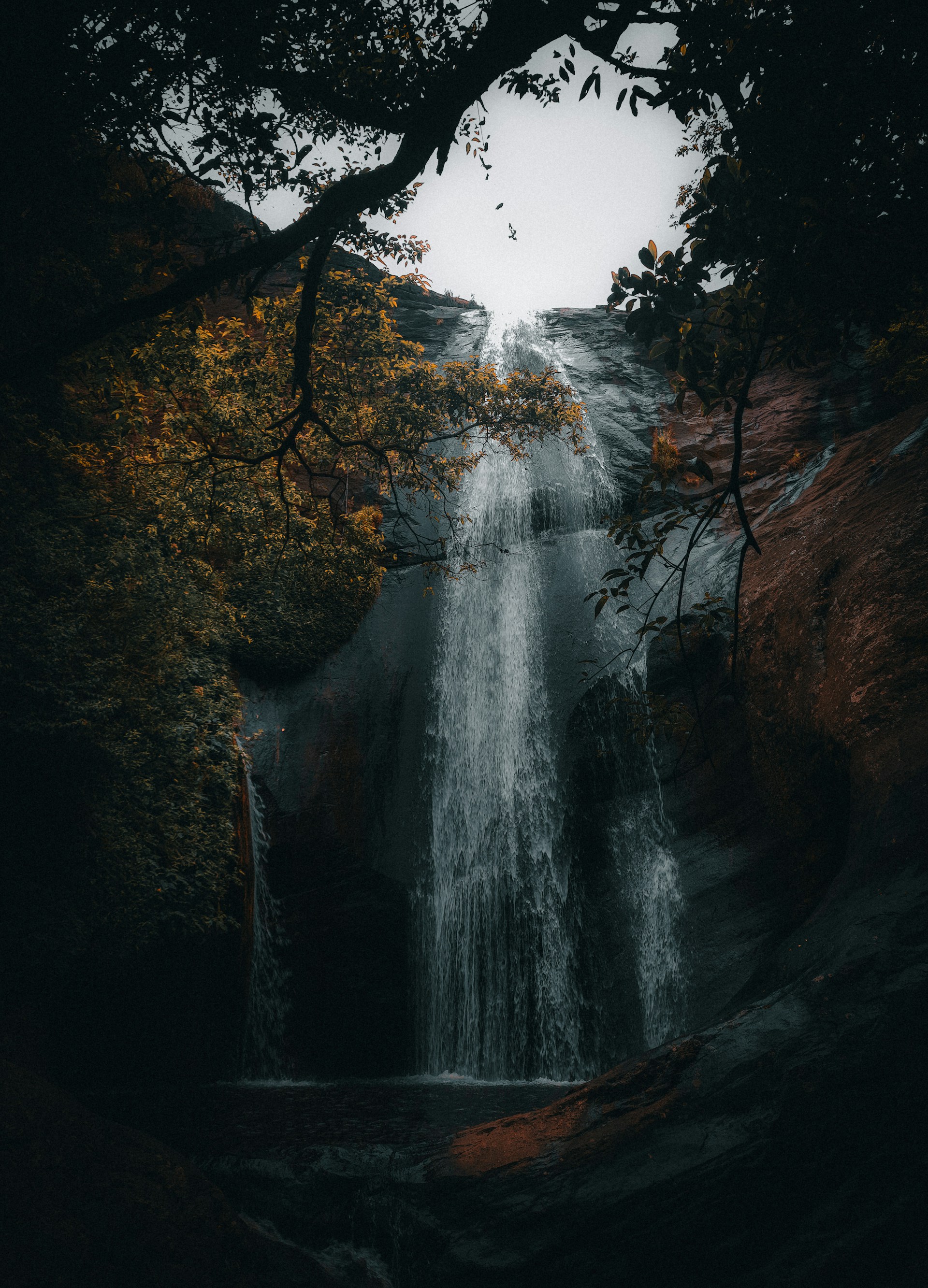 Waterfall Hunting- Bambarakanda Falls and Lanka Ella Falls 