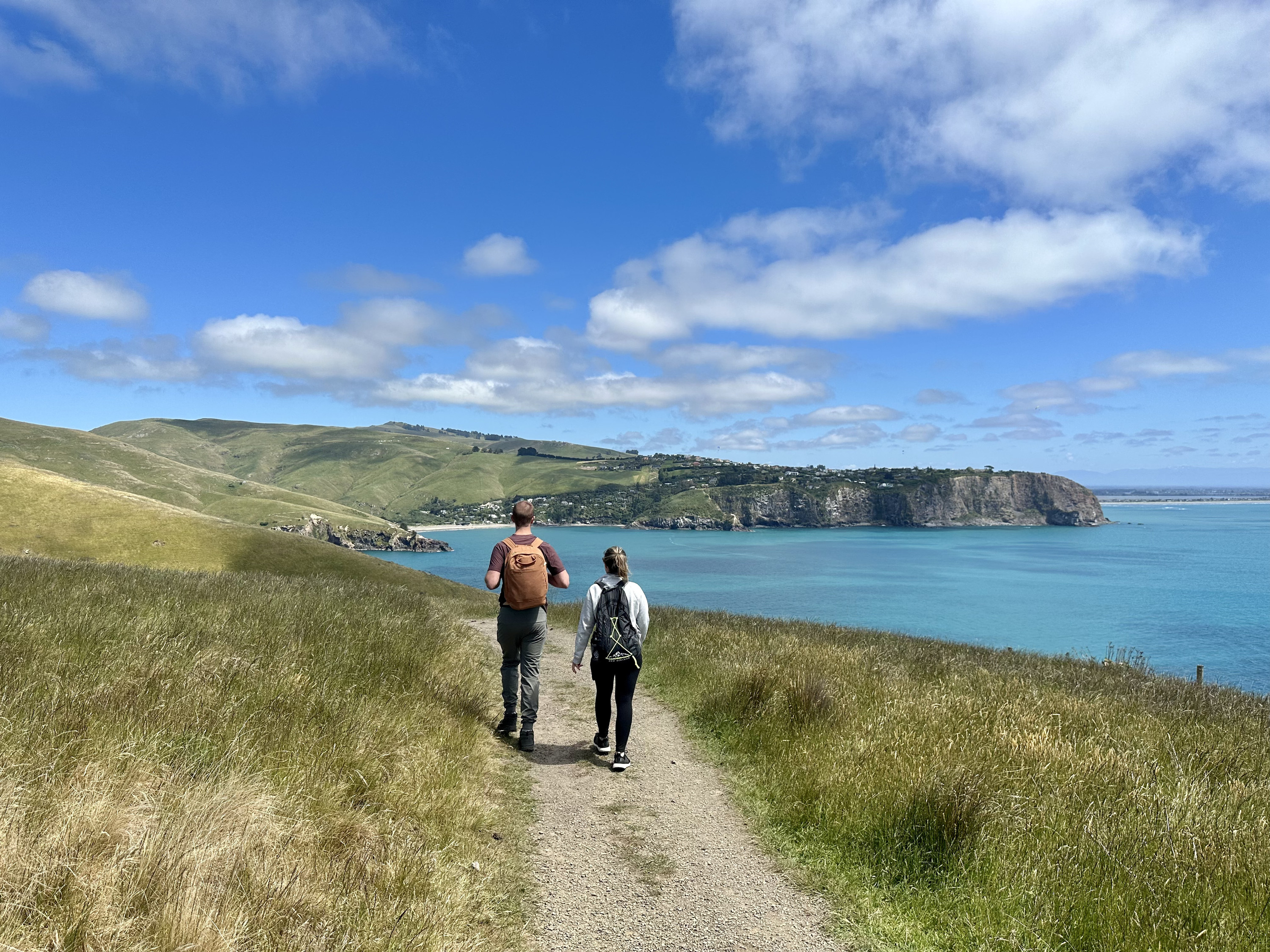 Christchurch Godley Head Loop Trail Full-Day Small Group Walking Tour