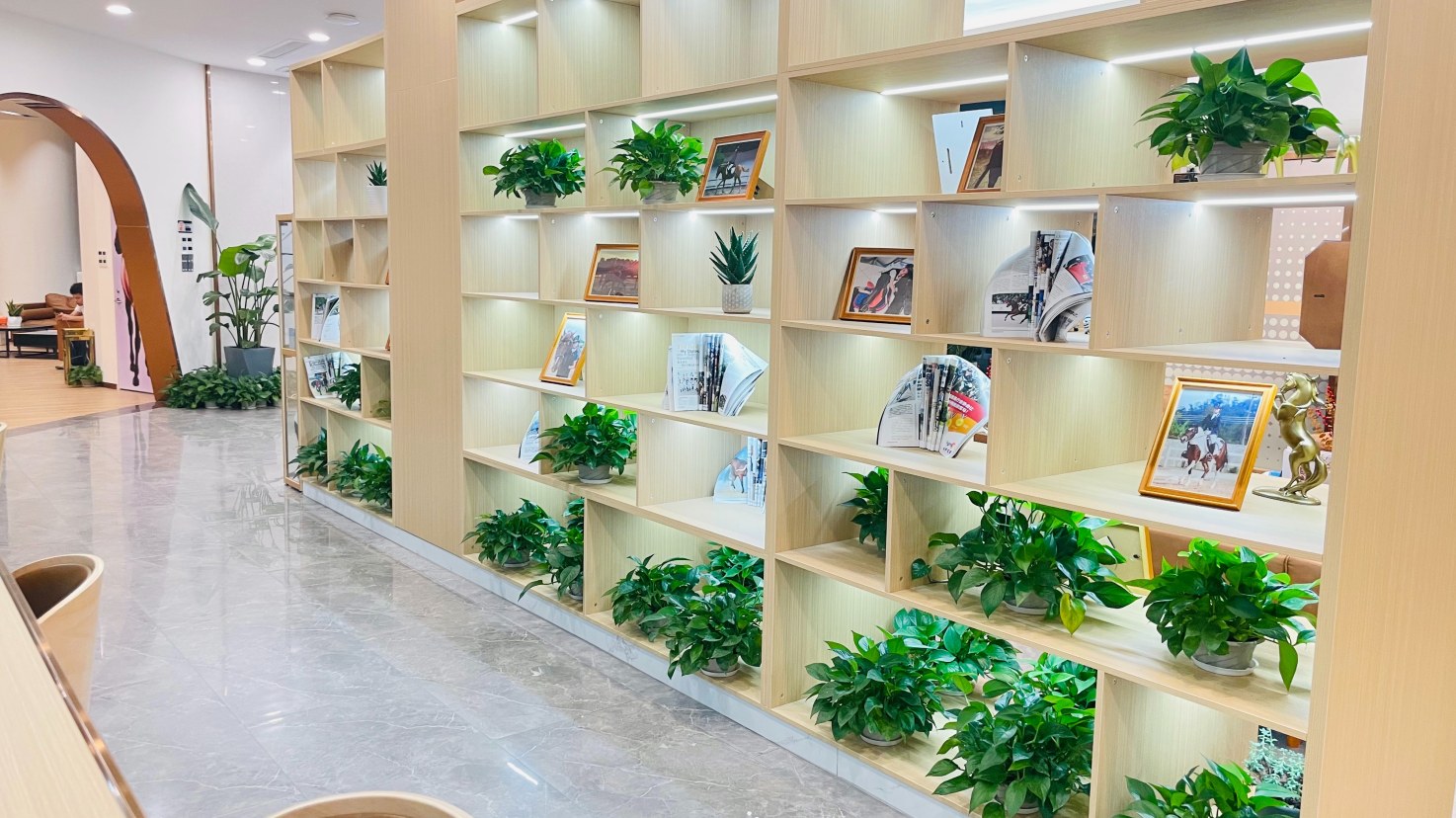 騎樂馬術（深圳觀瀾湖中心店）