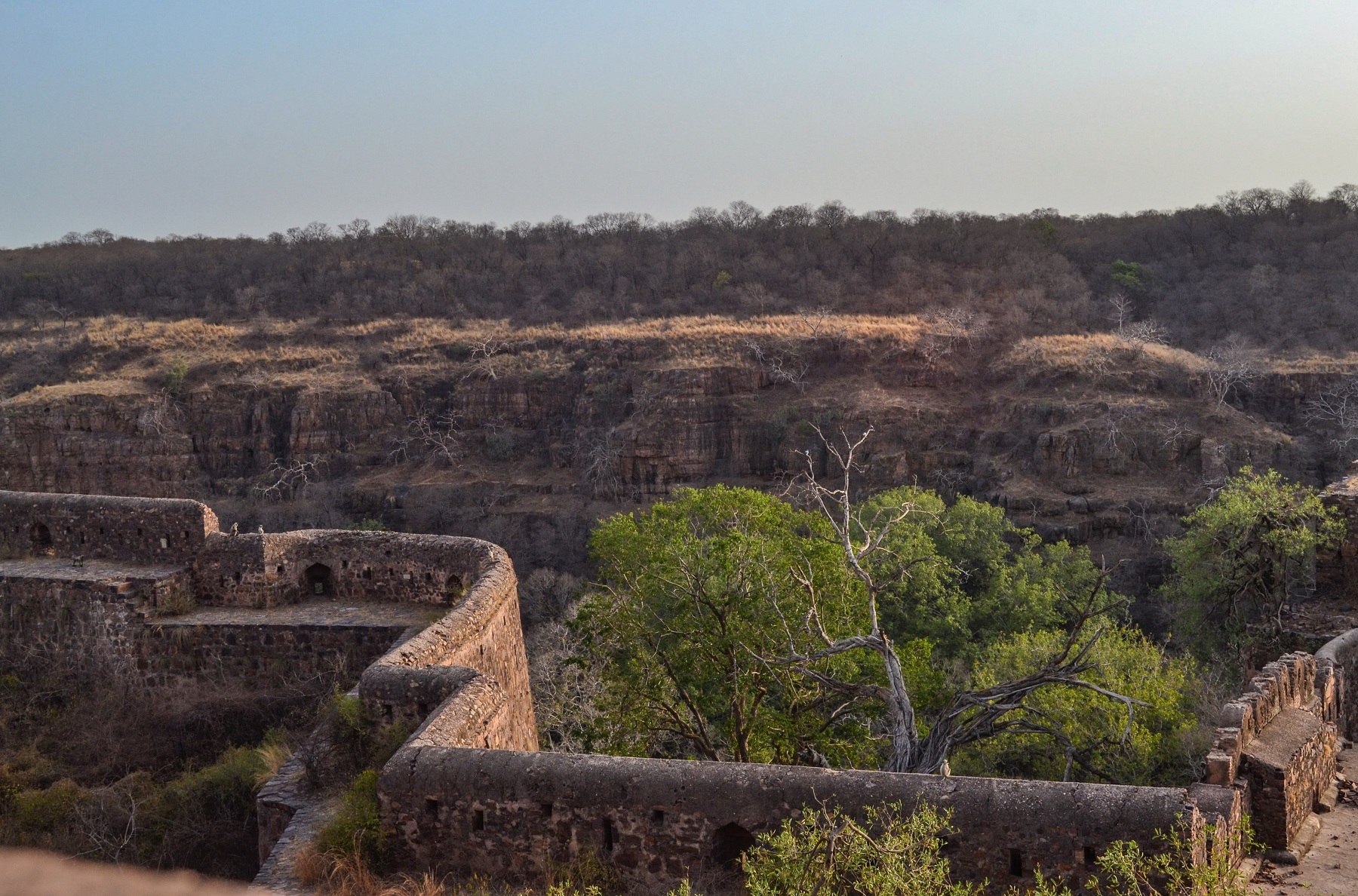 Ranthambore Fort, A UNESCO World Heritage Site.