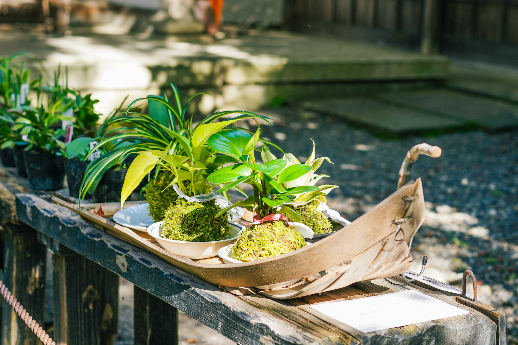 京都嵐山竹林 & 花園半日徒步之旅