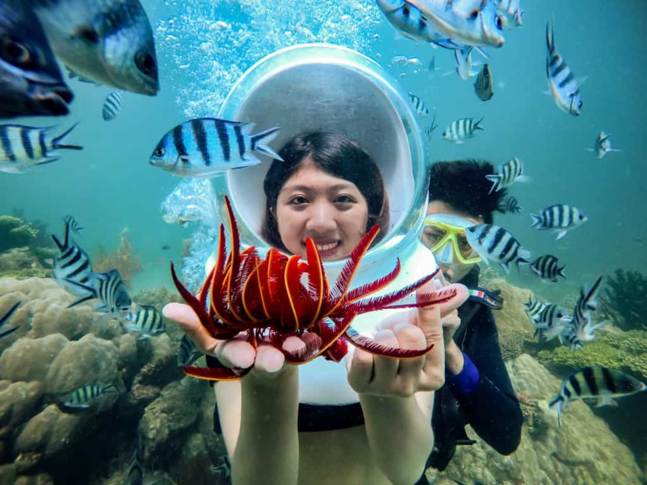 Sea Walk + Video/ Photo or Scuba Dive inside Sun World Hon Thom