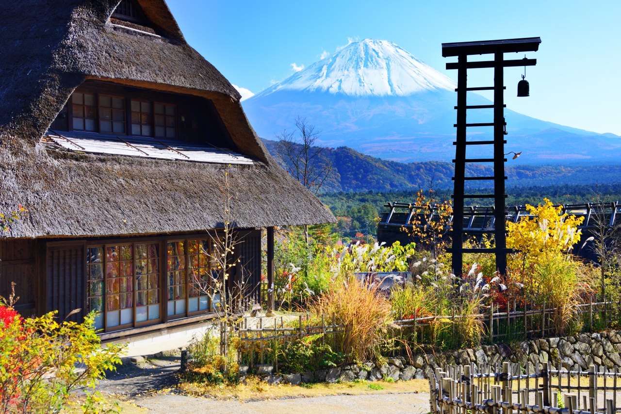【富士山名勝景點探秘一日遊】西湖療愈之里根場&新倉山公園&河口湖大石公園&忍野八海（東京出發)