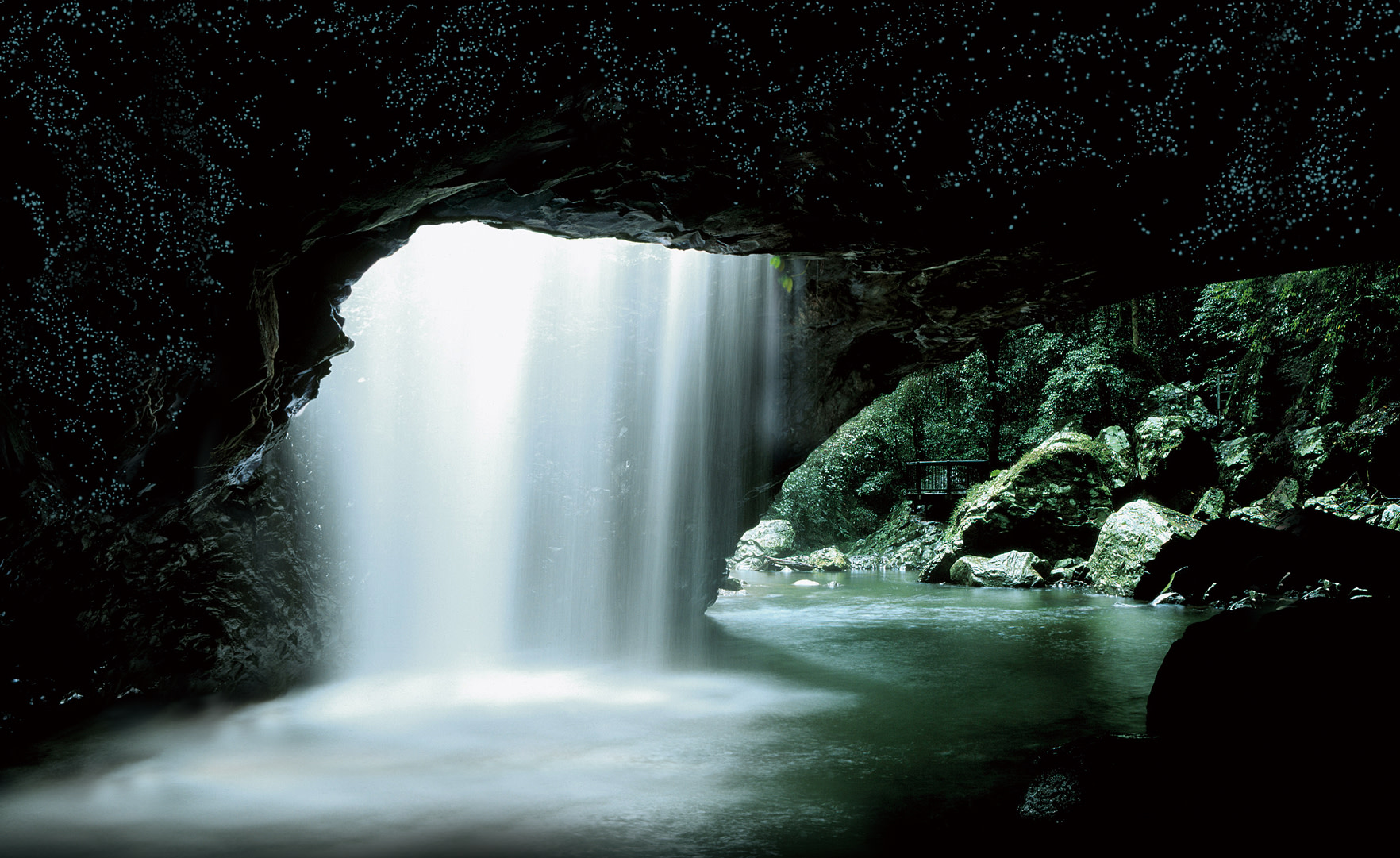 Glow Worm Tour Gold Coast with Japanese-Speaking Guide