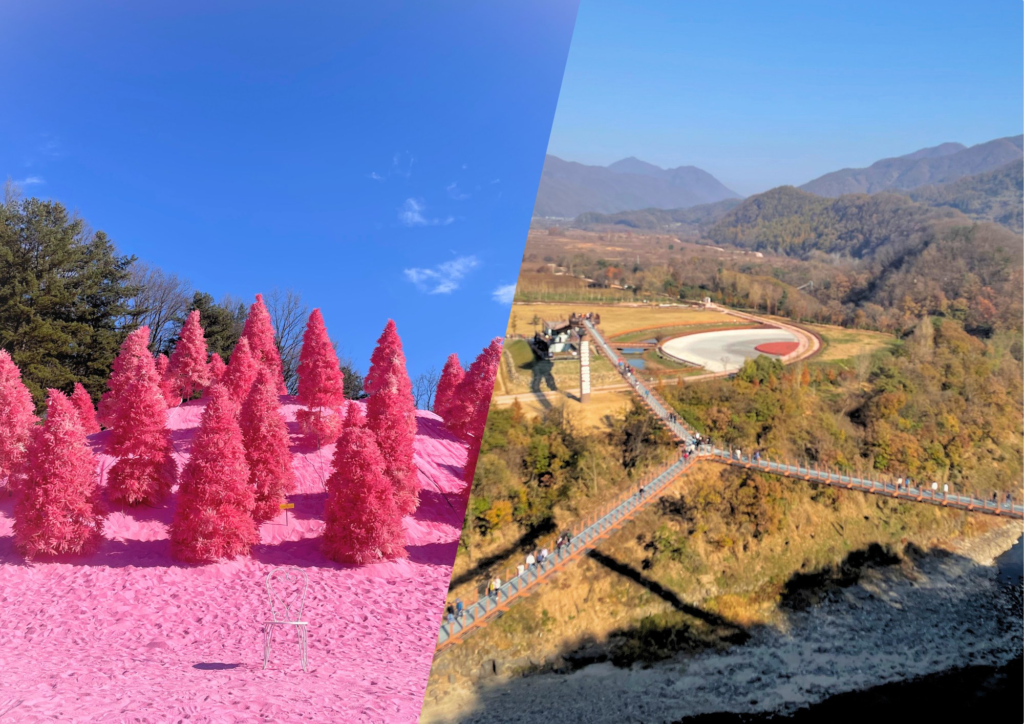 抱川一日遊：Y 字型吊橋與香草島樂園