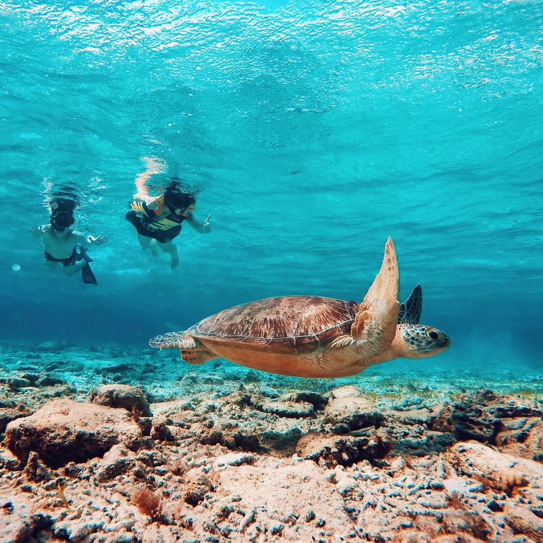 龍目島 Gili Layar＆Gili Goleng＆Gili Asahan 浮潛一日遊