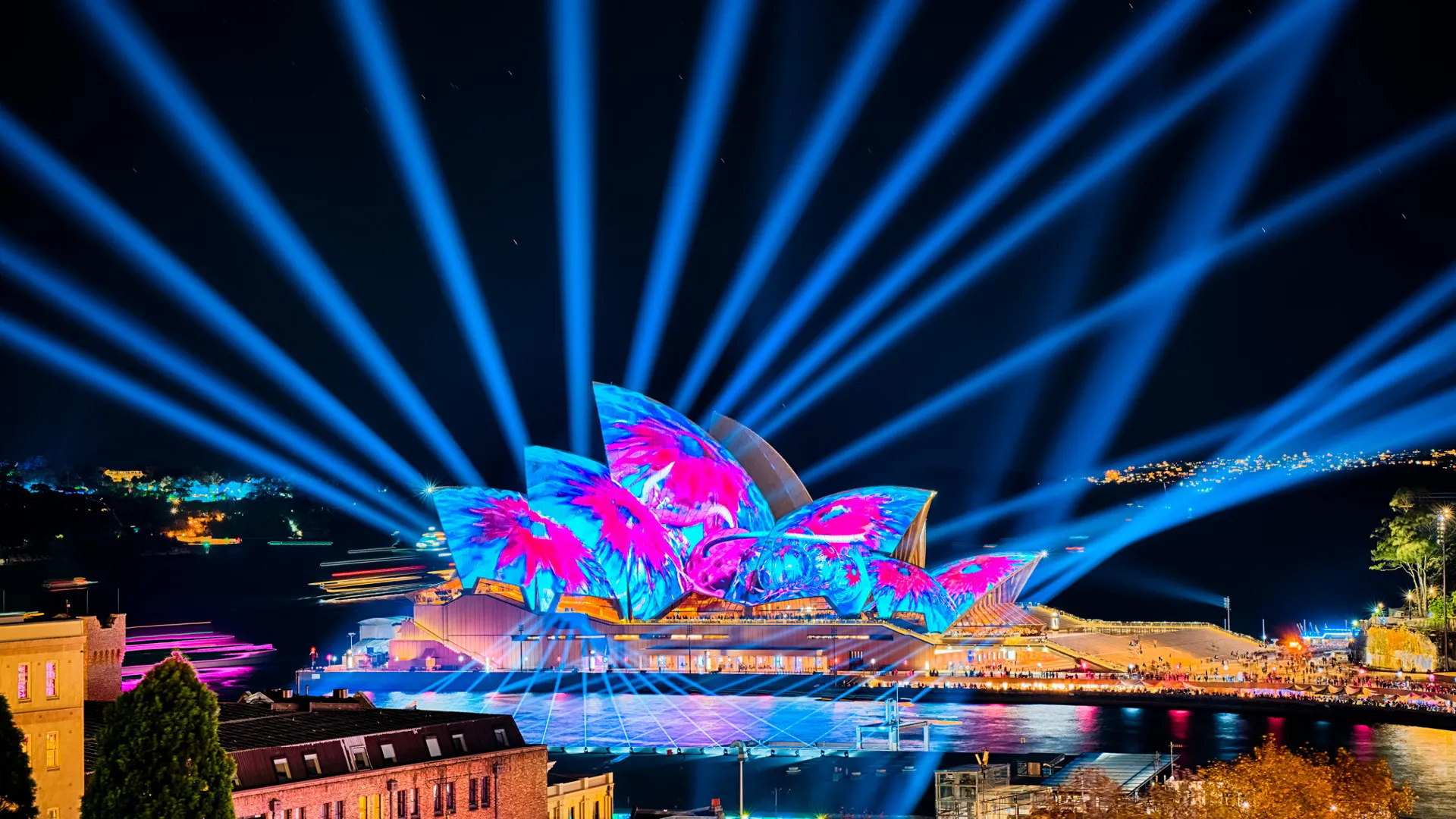 90-Minute VIVID Premium Sydney Harbour Catamaran Cruise