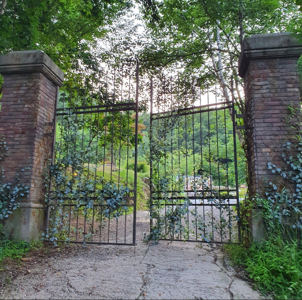 Sanida Café in Wonju was featured as the setting for the “Cursed Castle” in the Korean drama It’s Okay to Not Be Okay (2020).
Sanida Café provides a unique opportunity to experience a piece of Korean drama history in a beautiful natural setting.