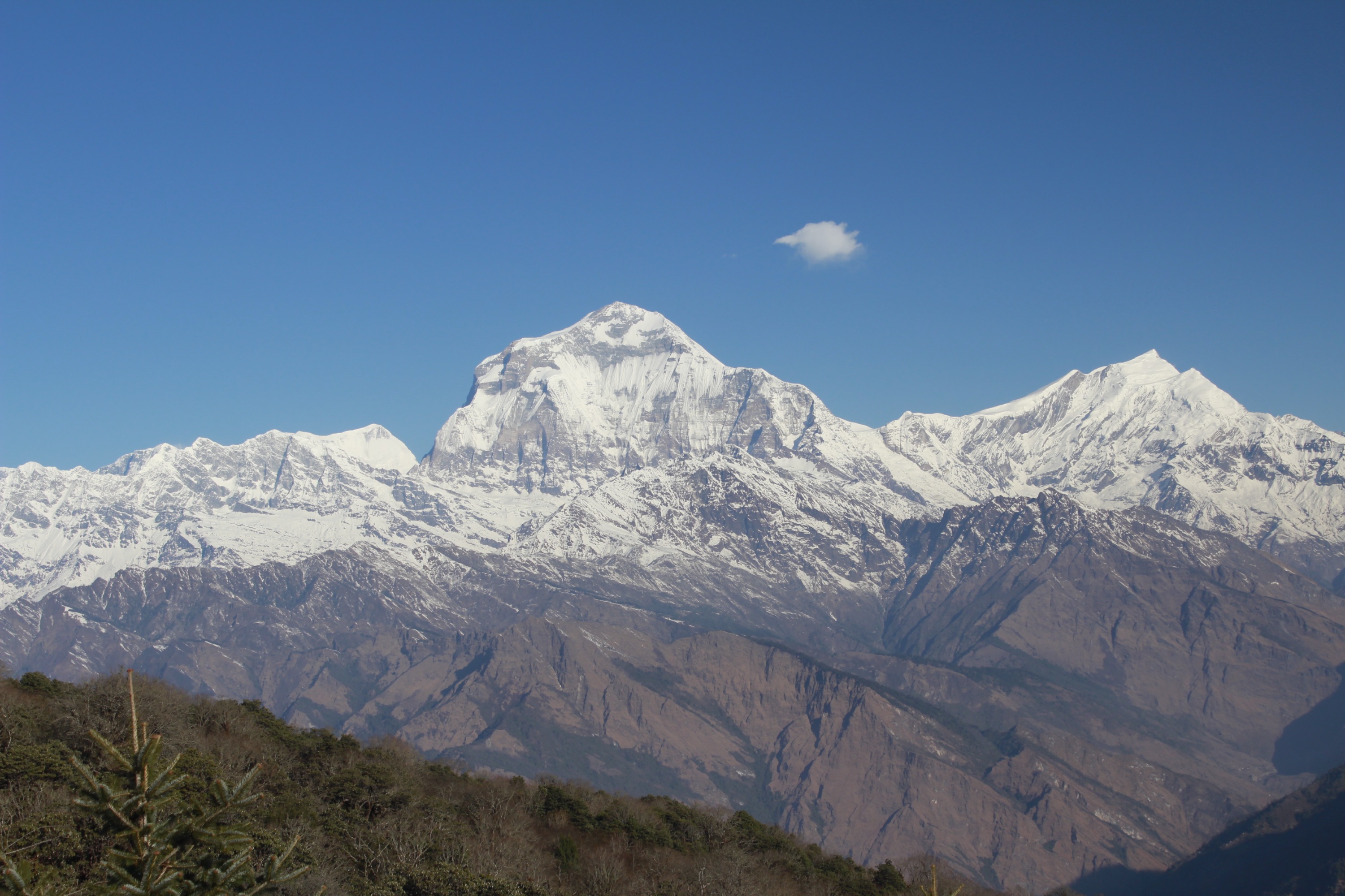 From Pokhara: 4 Days Poon Hill Trek