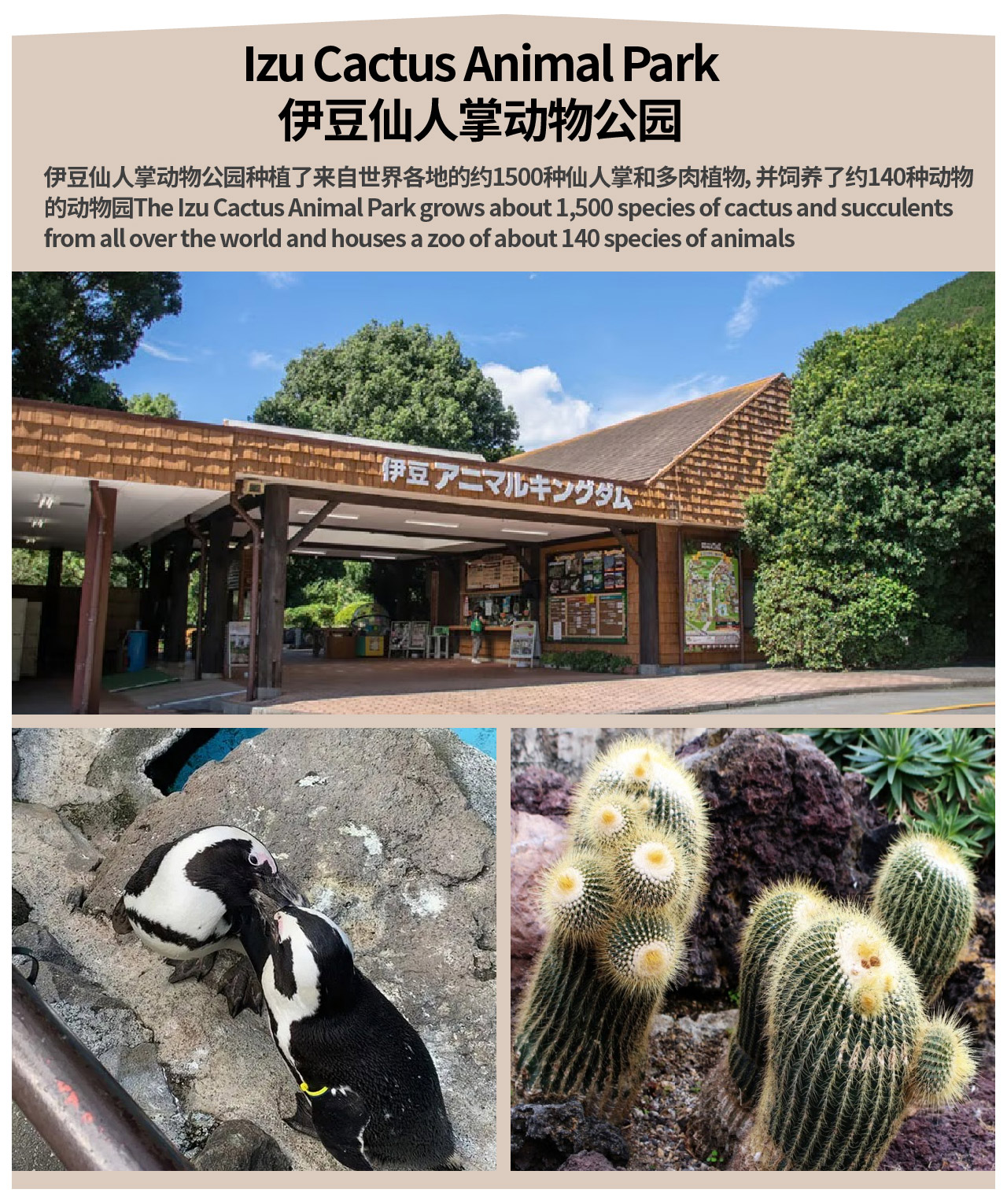 【熱海&伊豆溫泉深度二日遊】MOA美術館&來宮神社&三島天空步道&修善寺瀧亭溫泉&大室山&城崎海岸二日遊(東京出發）
