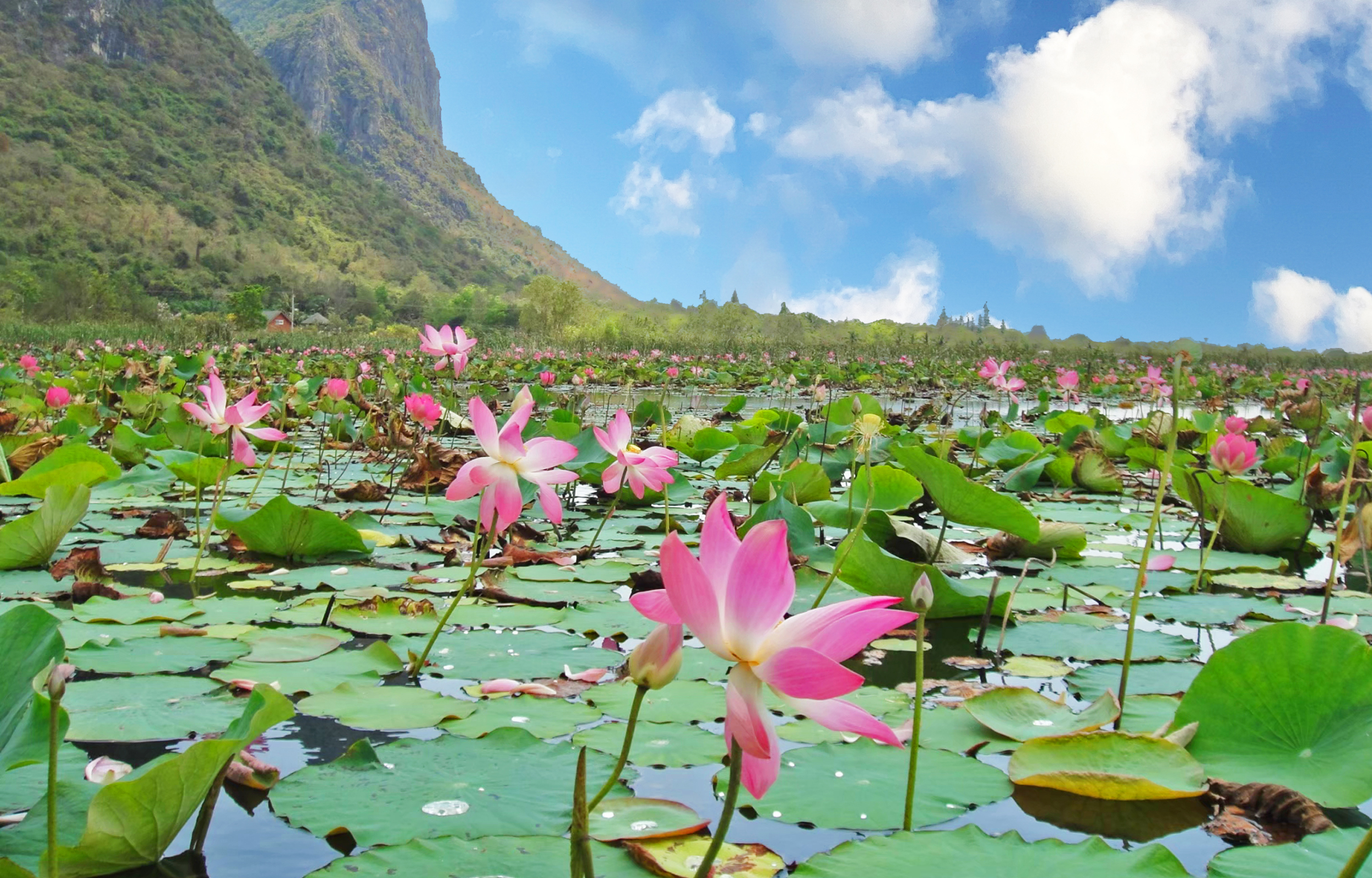 三百峰國家公園（Khao Sam Roi Yot）定製之旅（華欣出發）