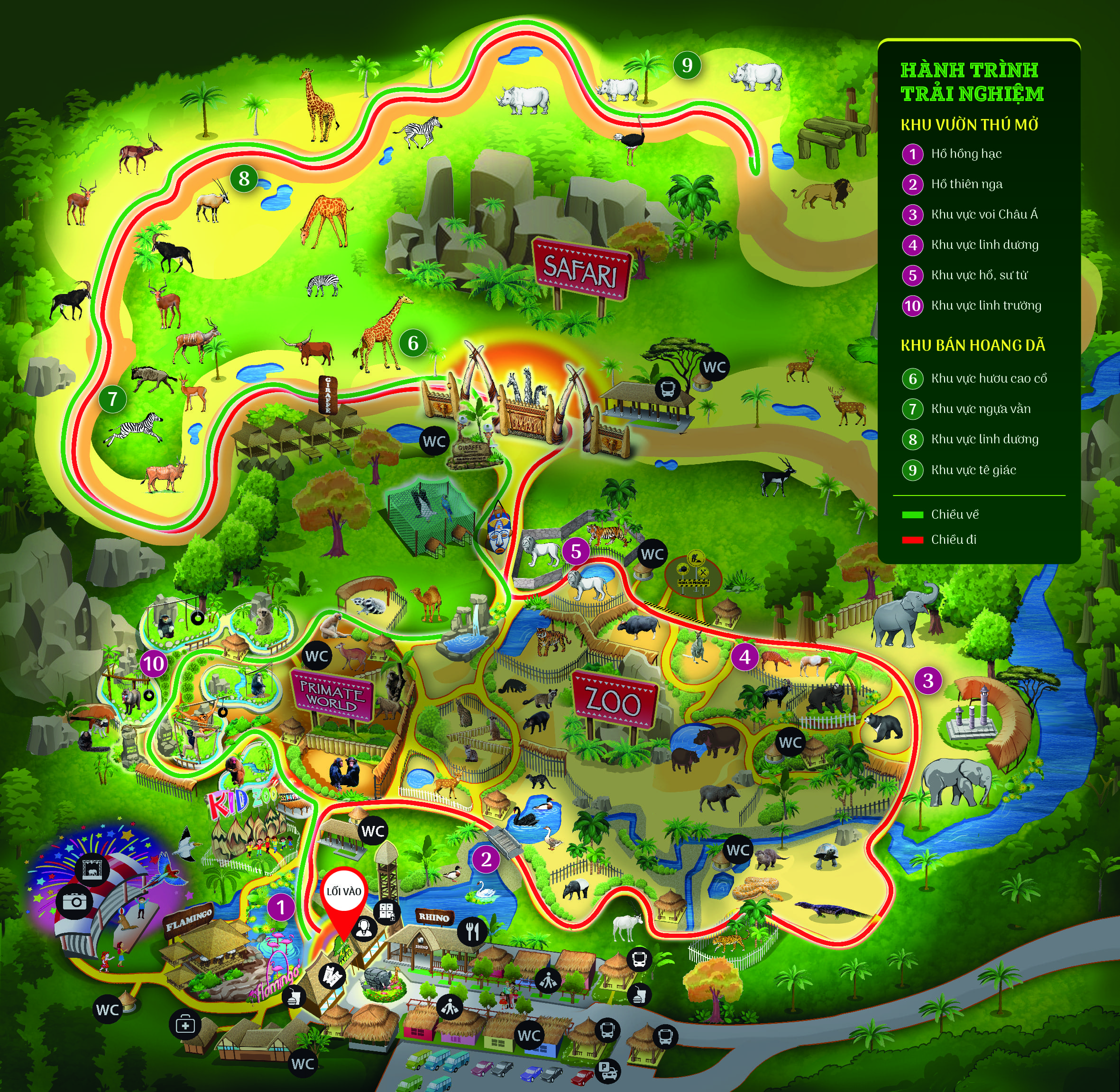 Night Safari Map