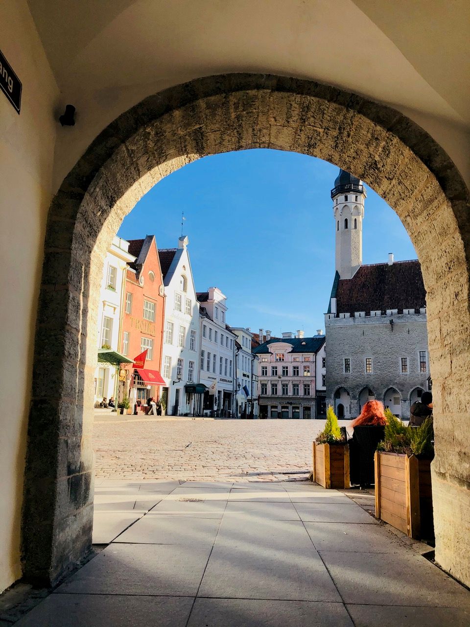 Old Town Tallinn & St Mary's Cathedral Half-day Architecture & Old Town Tour