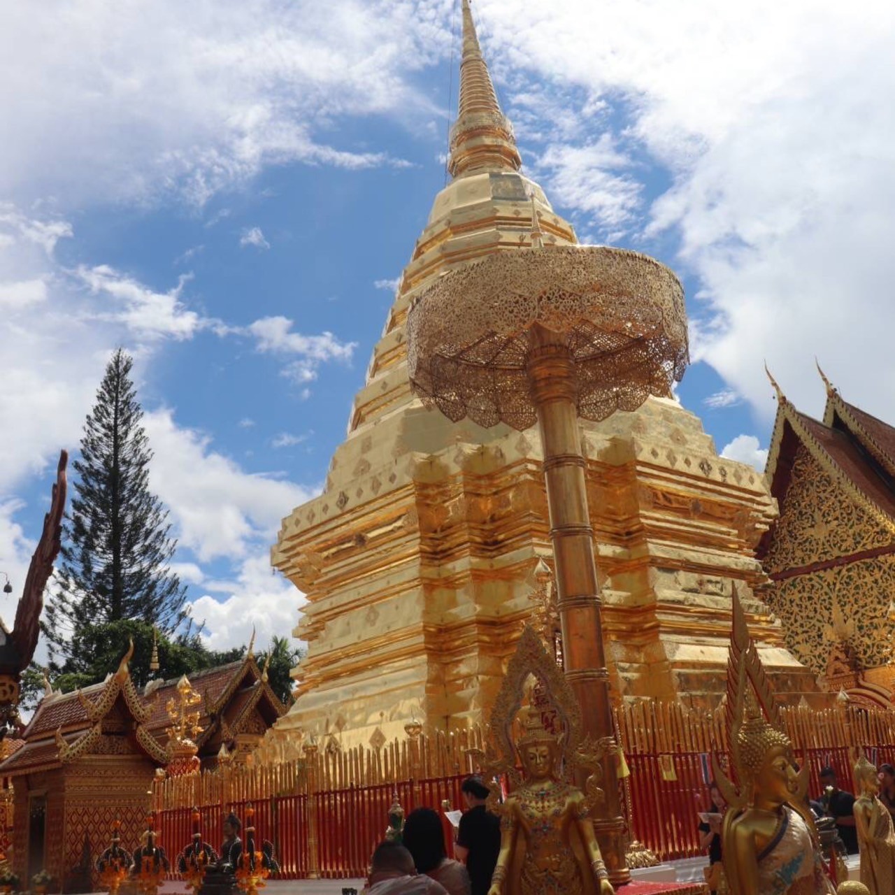 Chiang Mai Full day: Wat Pha Lat,Phra That,Sticky Waterfall and Farm