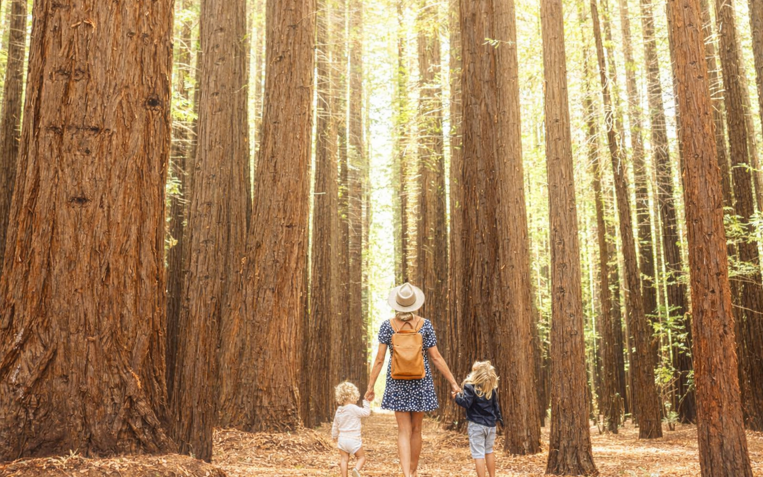 Melbourne Yarra Valley Full-Day Tour